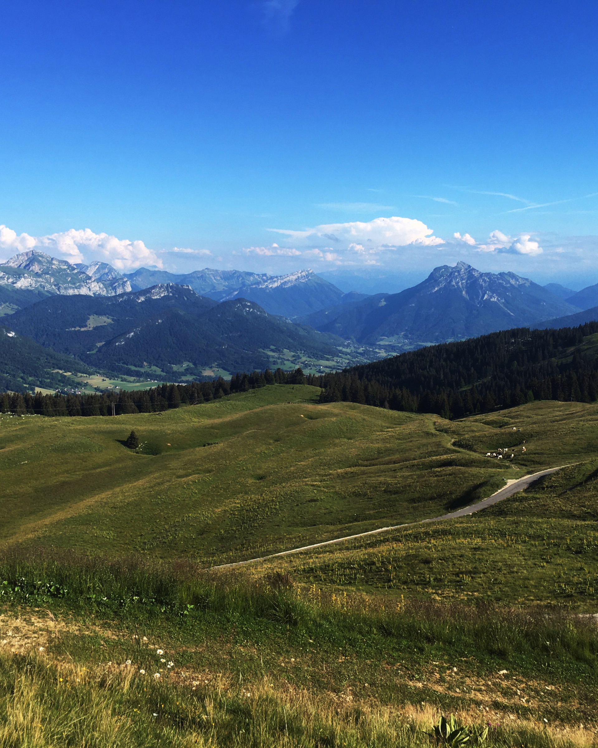 Week-end cyclisme à Annecy : cap sur les grands cols alpins