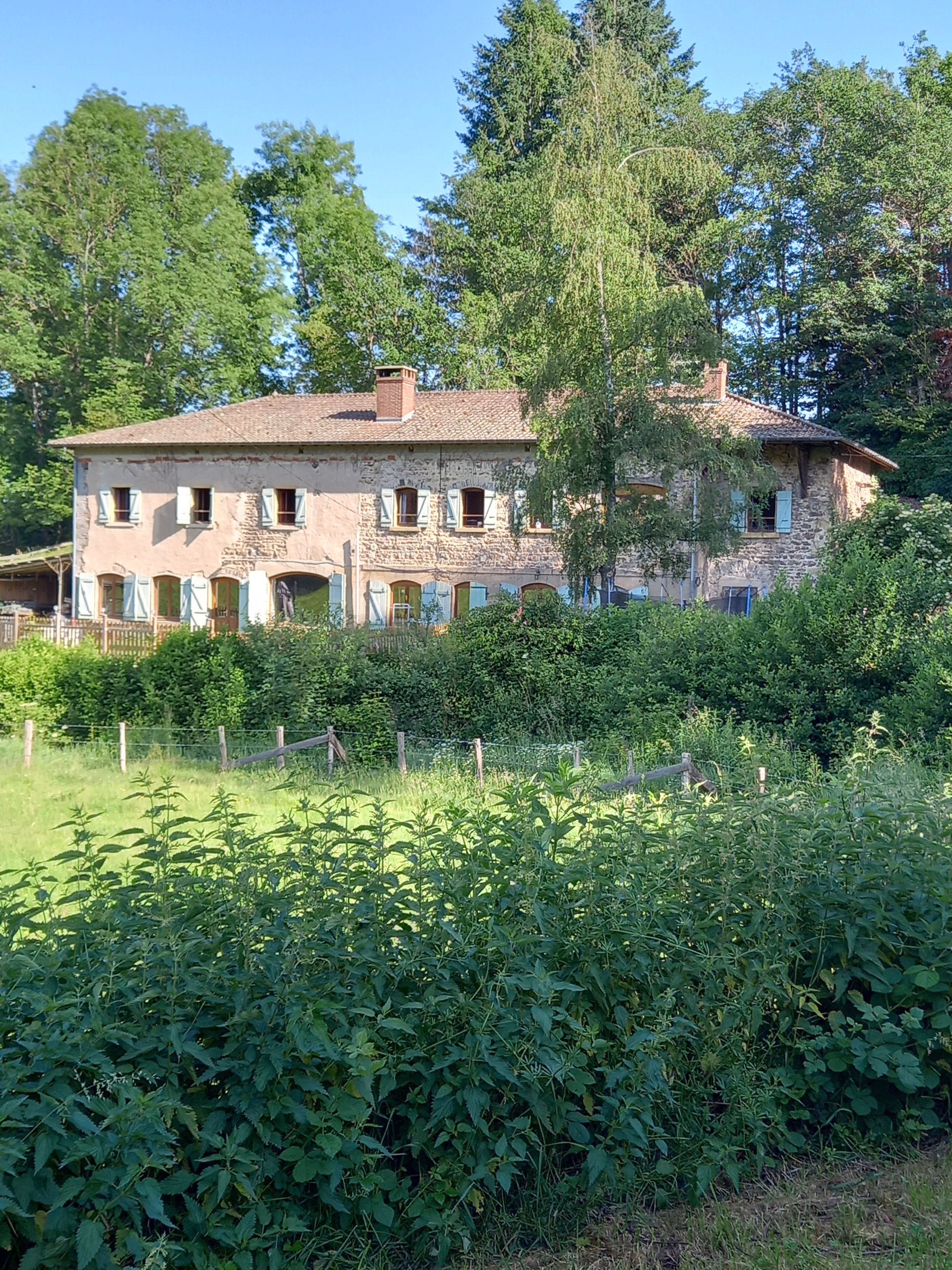 🏠 Bed and breakfast