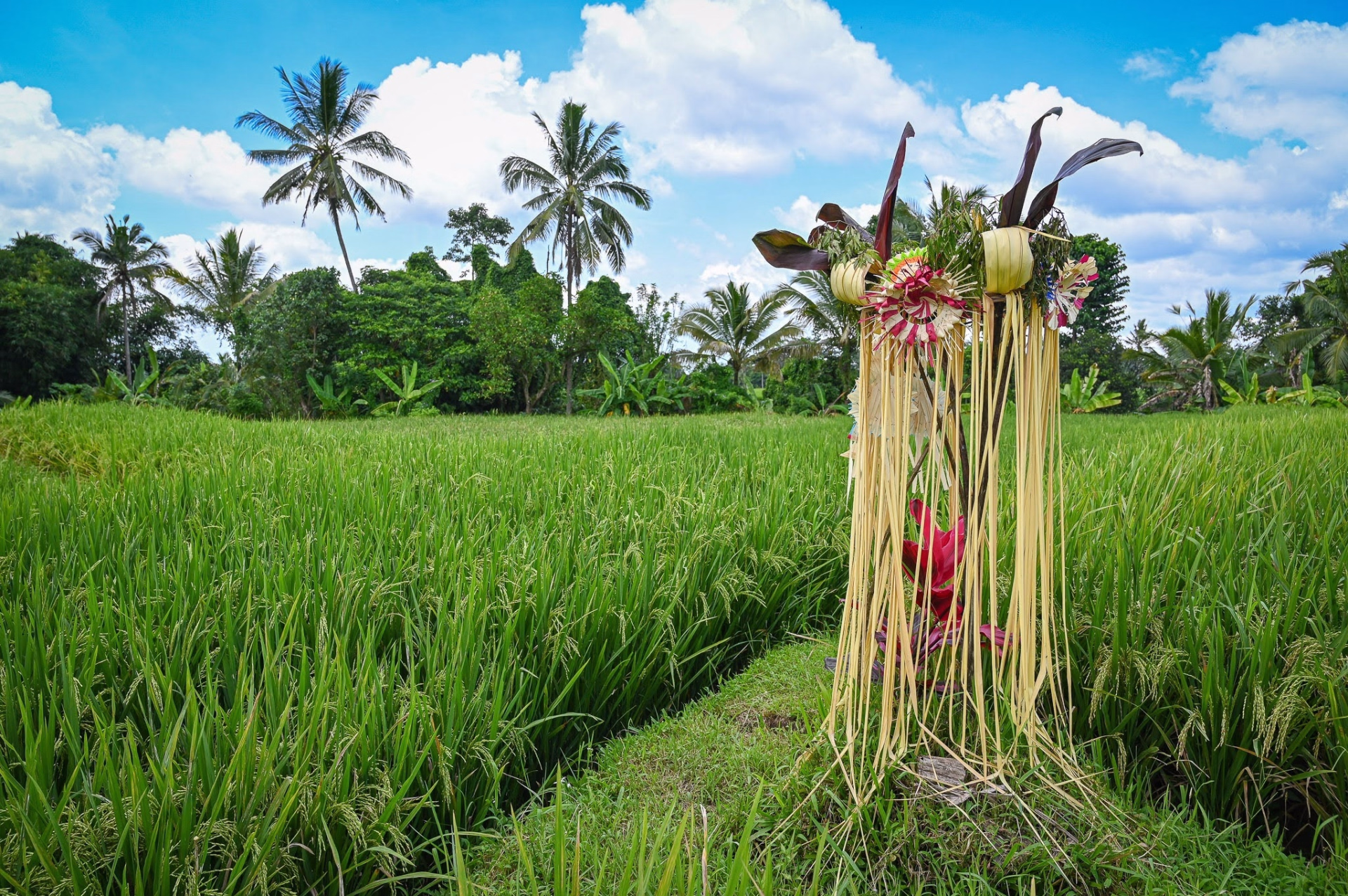 La grande traversée de Bali à VTT : volcans, rizières et plages