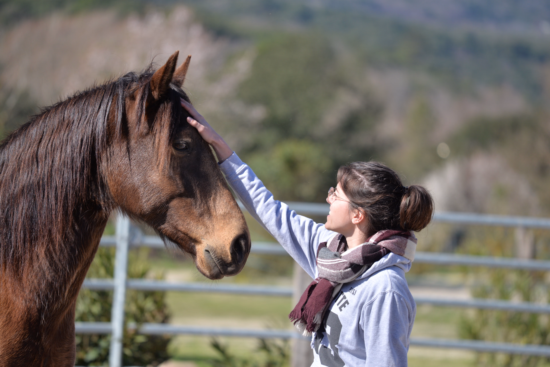 Séjour éthologie à cheval en Corse