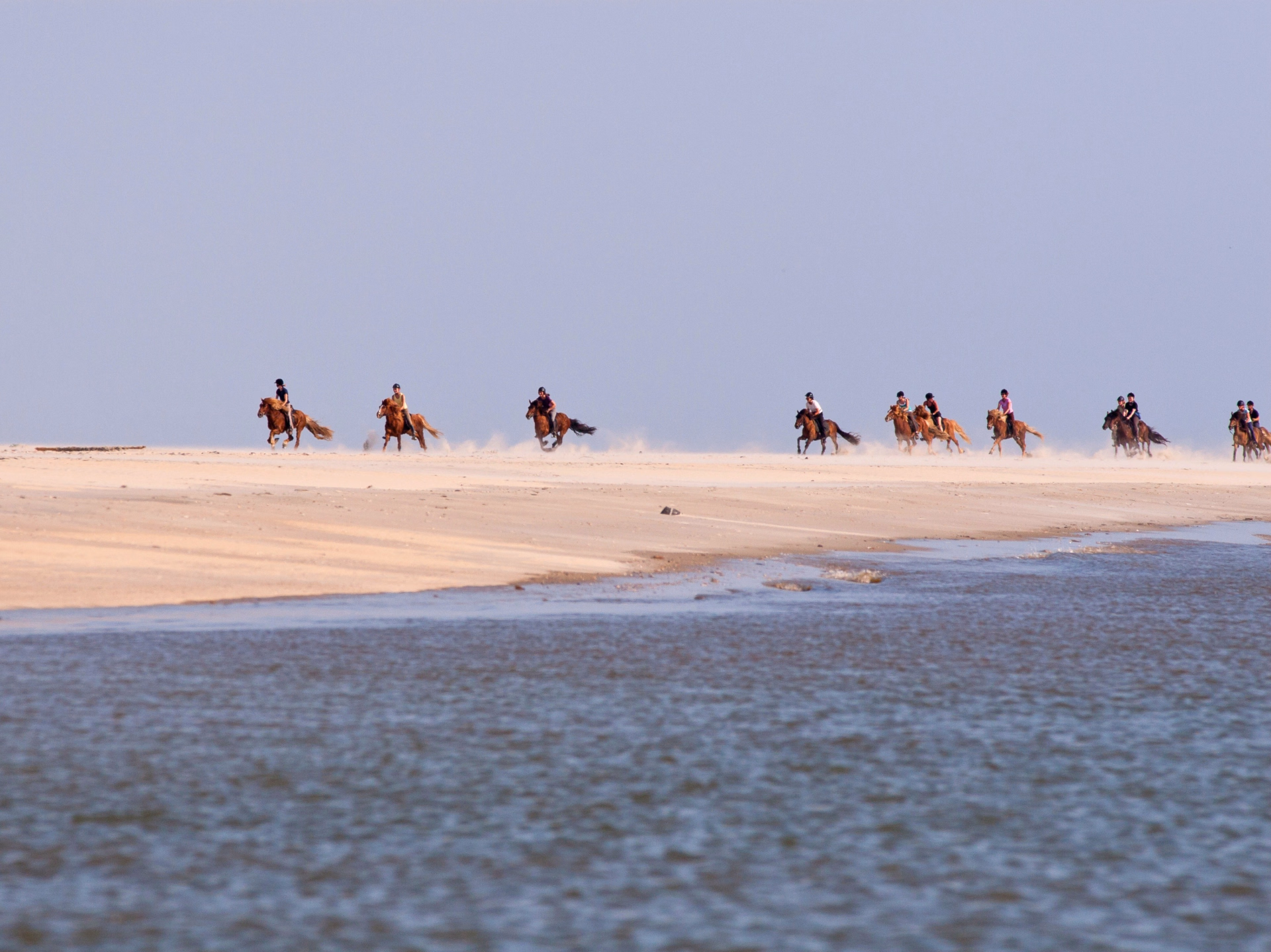 Séjour équestre sur l’île de Rømø au Danemark