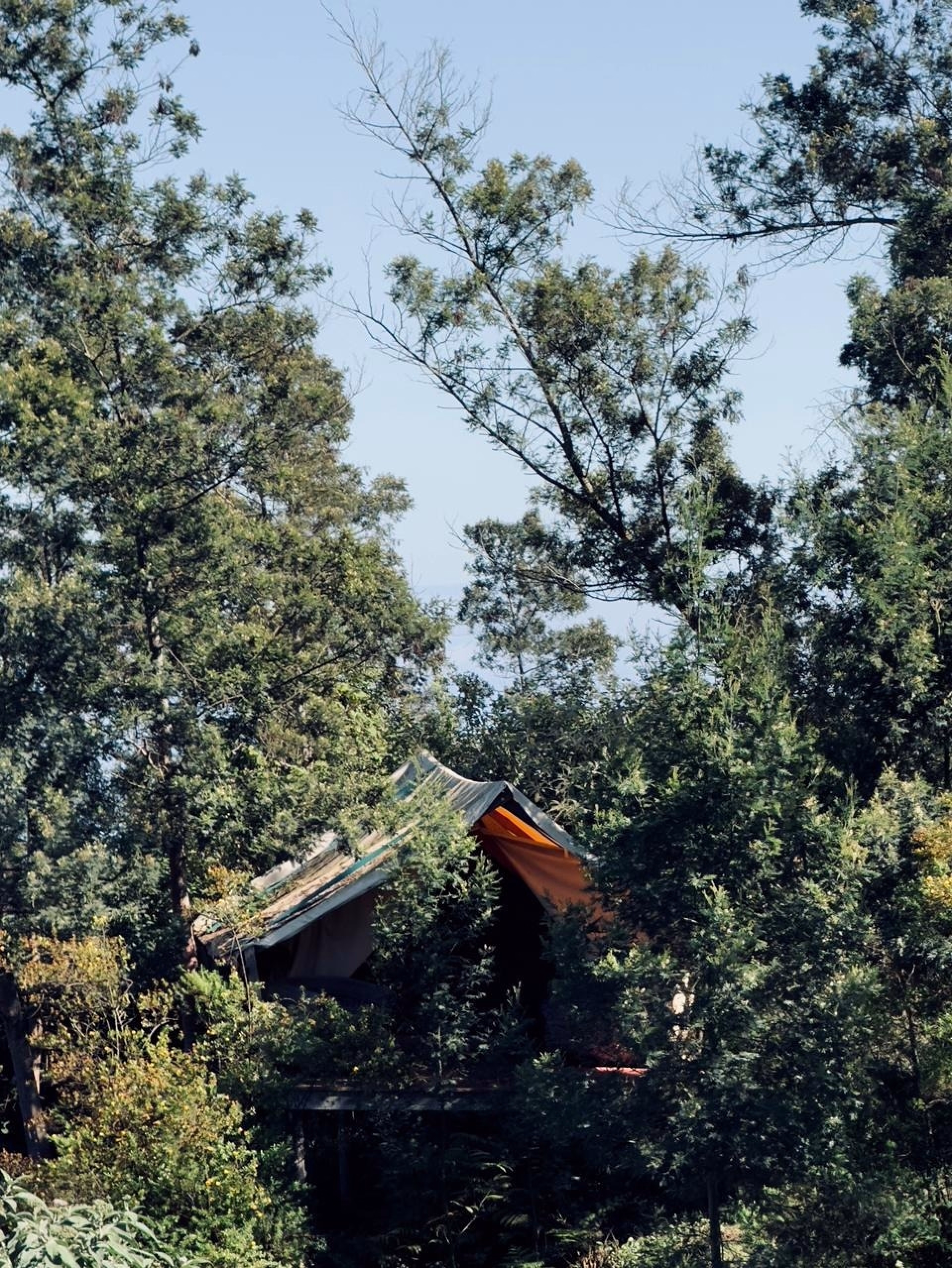 🏠 Lodge - Jours 1 à 6