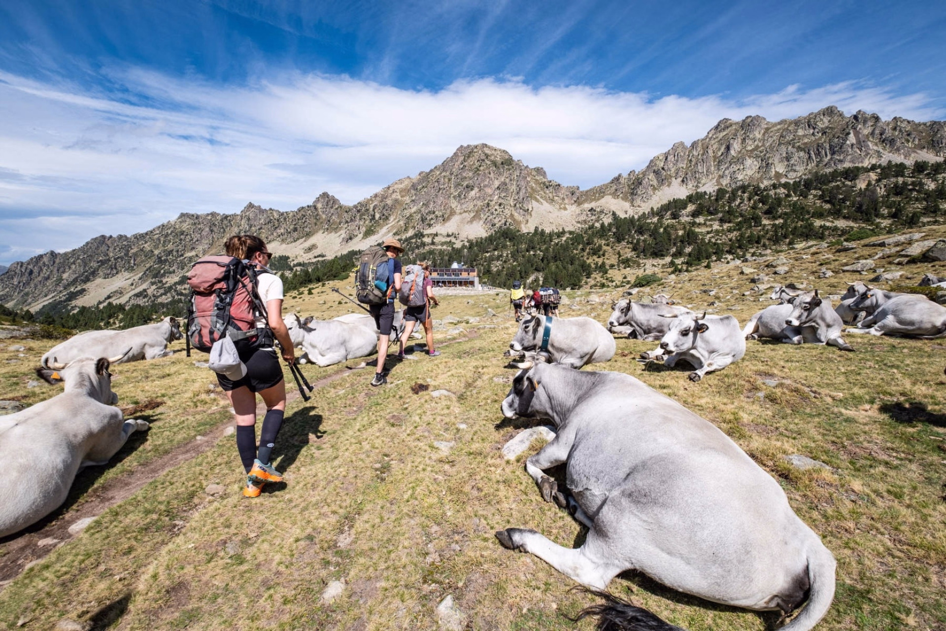 Le massif du Néouvielle versant sauvage, en refuge