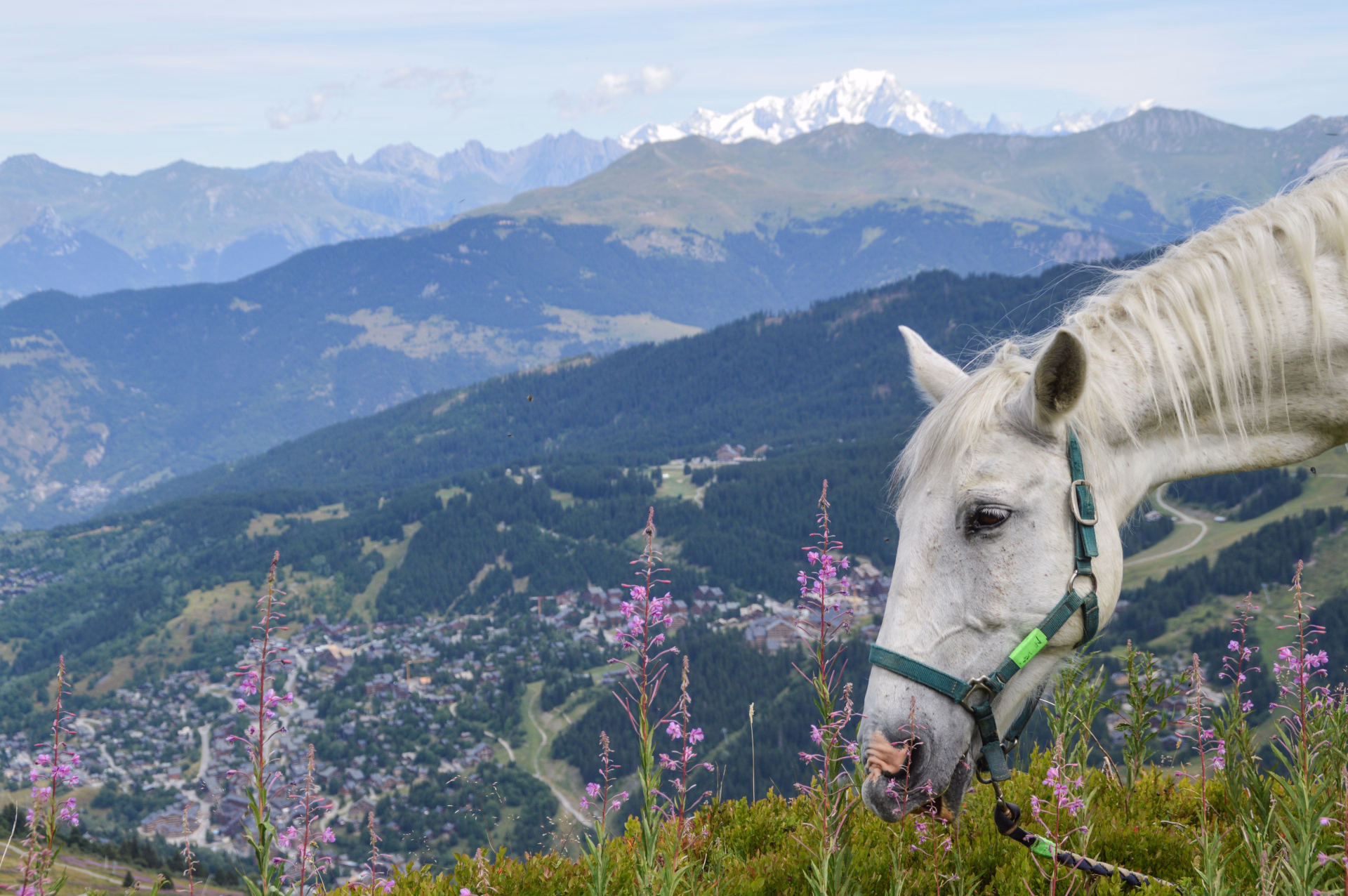Cheval et refuge : immersion sauvage en Vanoise depuis Méribel