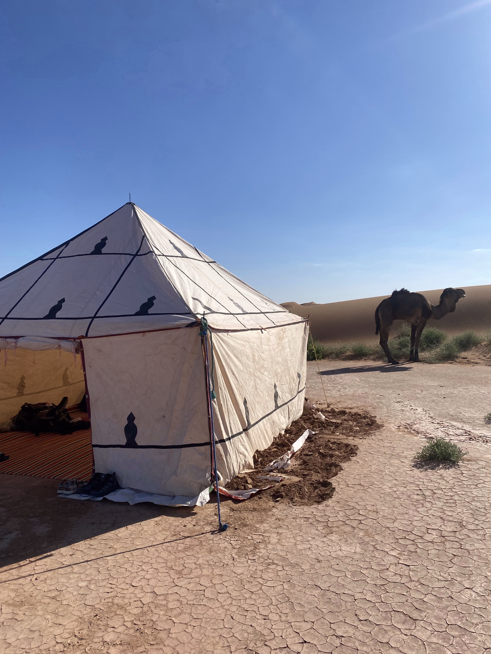 Trek et yoga dans le désert du Sahara