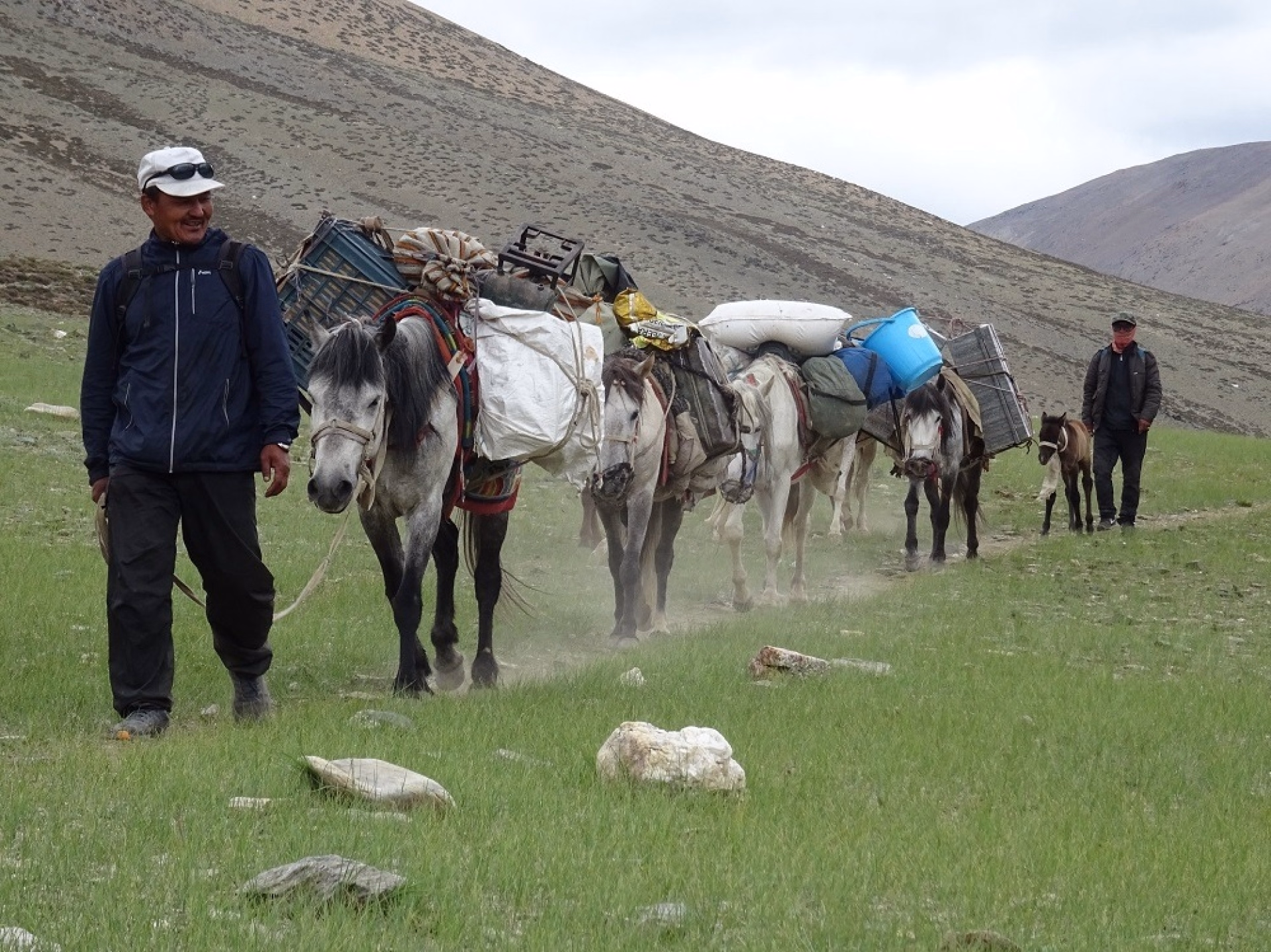 Trek au Ladakh, plateau et lacs du Changtang