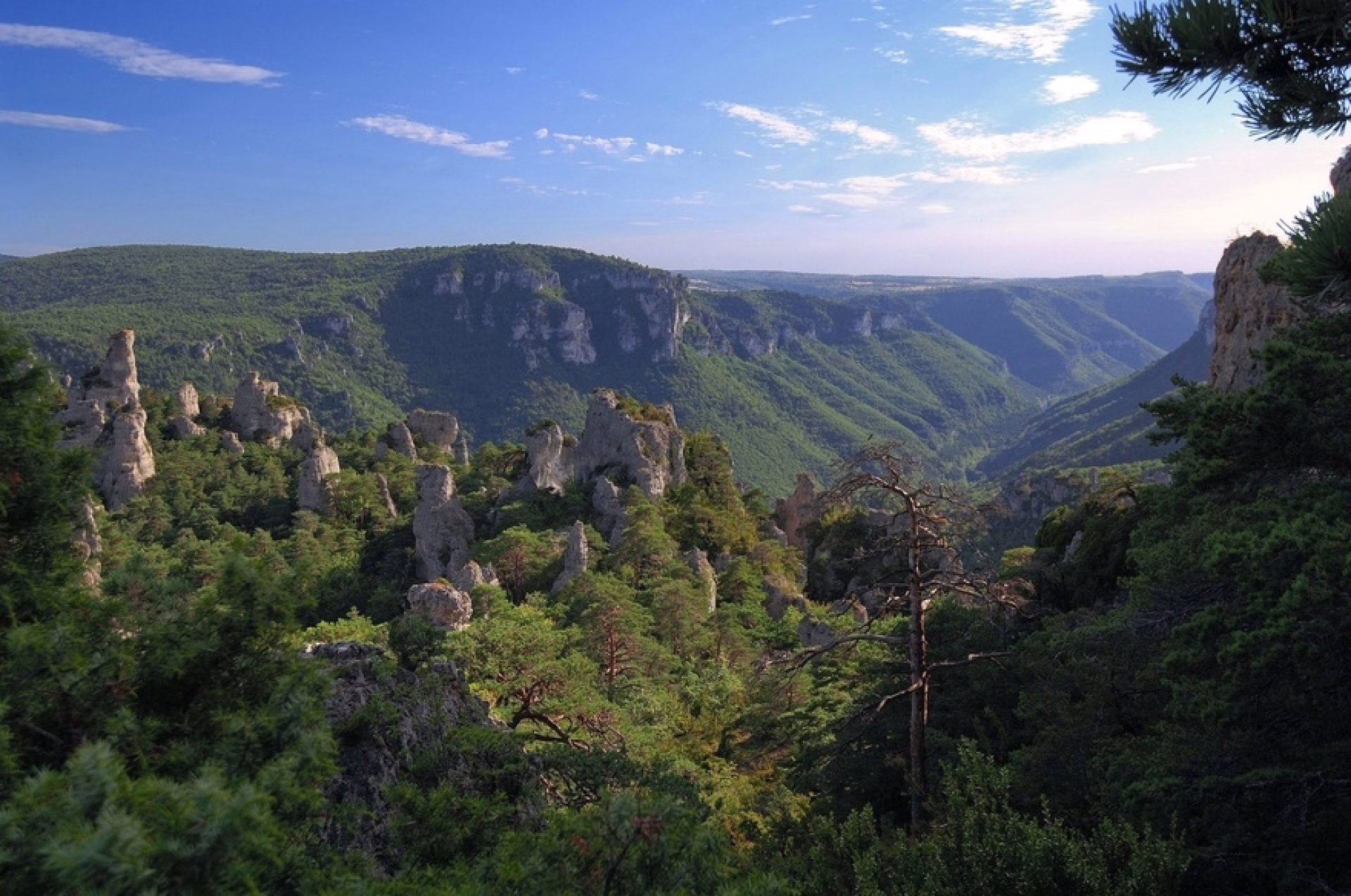 Séjour famille multi-activités dans les Cévennes