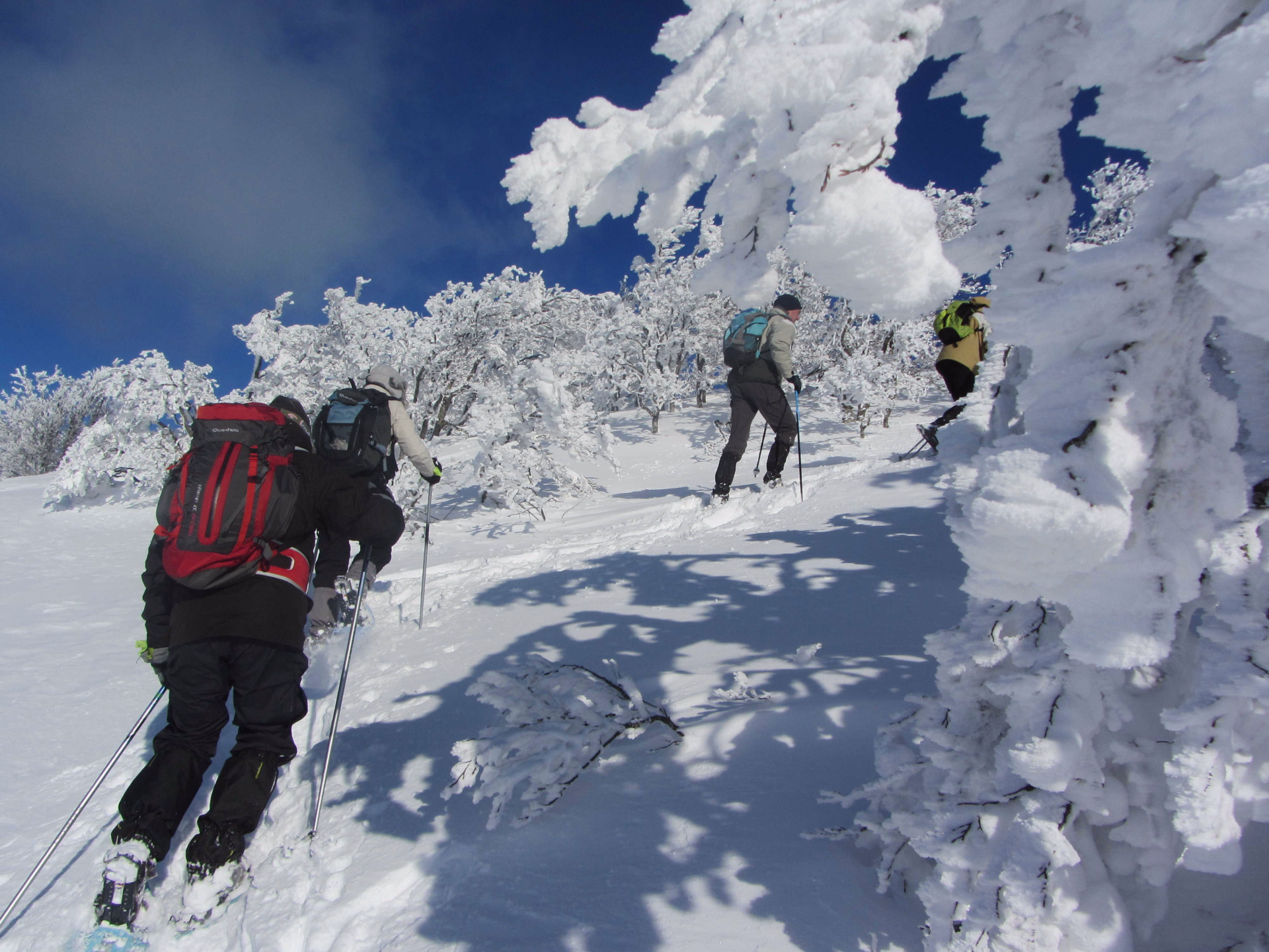 randonneurs qui montent le Vercors Massif de montagnes en France