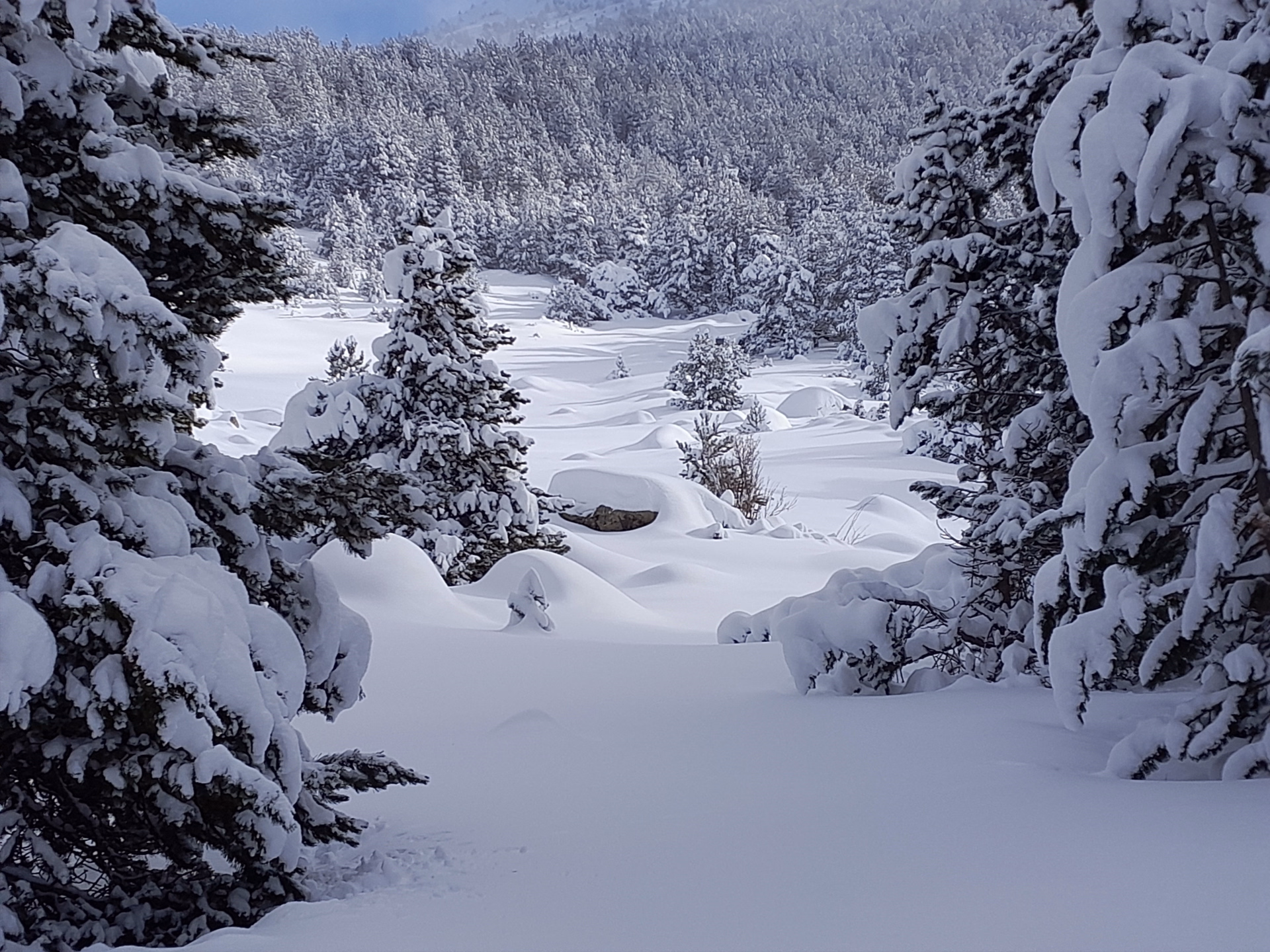 Raquettes et bien-être au cœur des vallées enneigées d’Andorre
