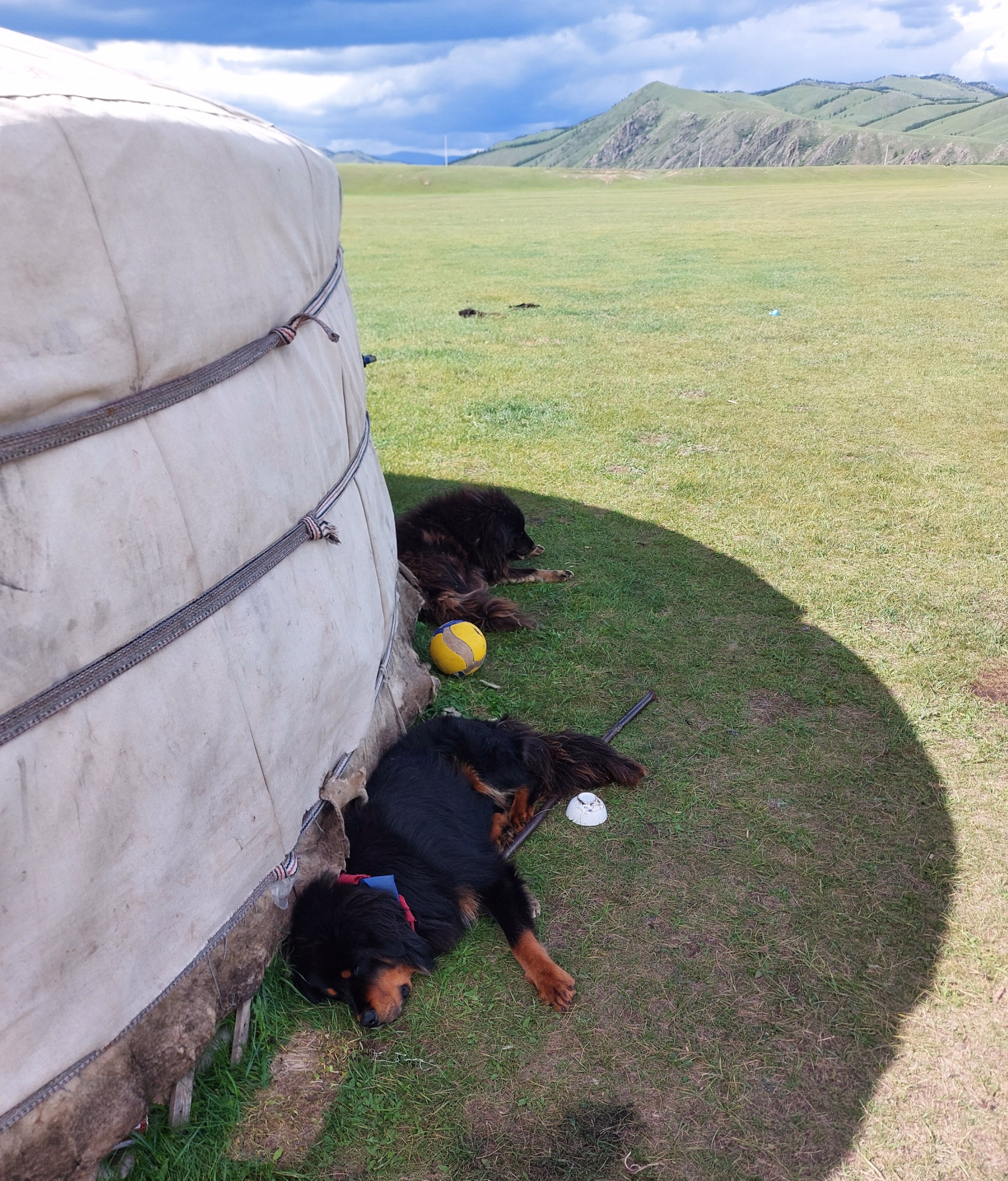 Randonnée à cheval dans le parc national de Terelj en Mongolie