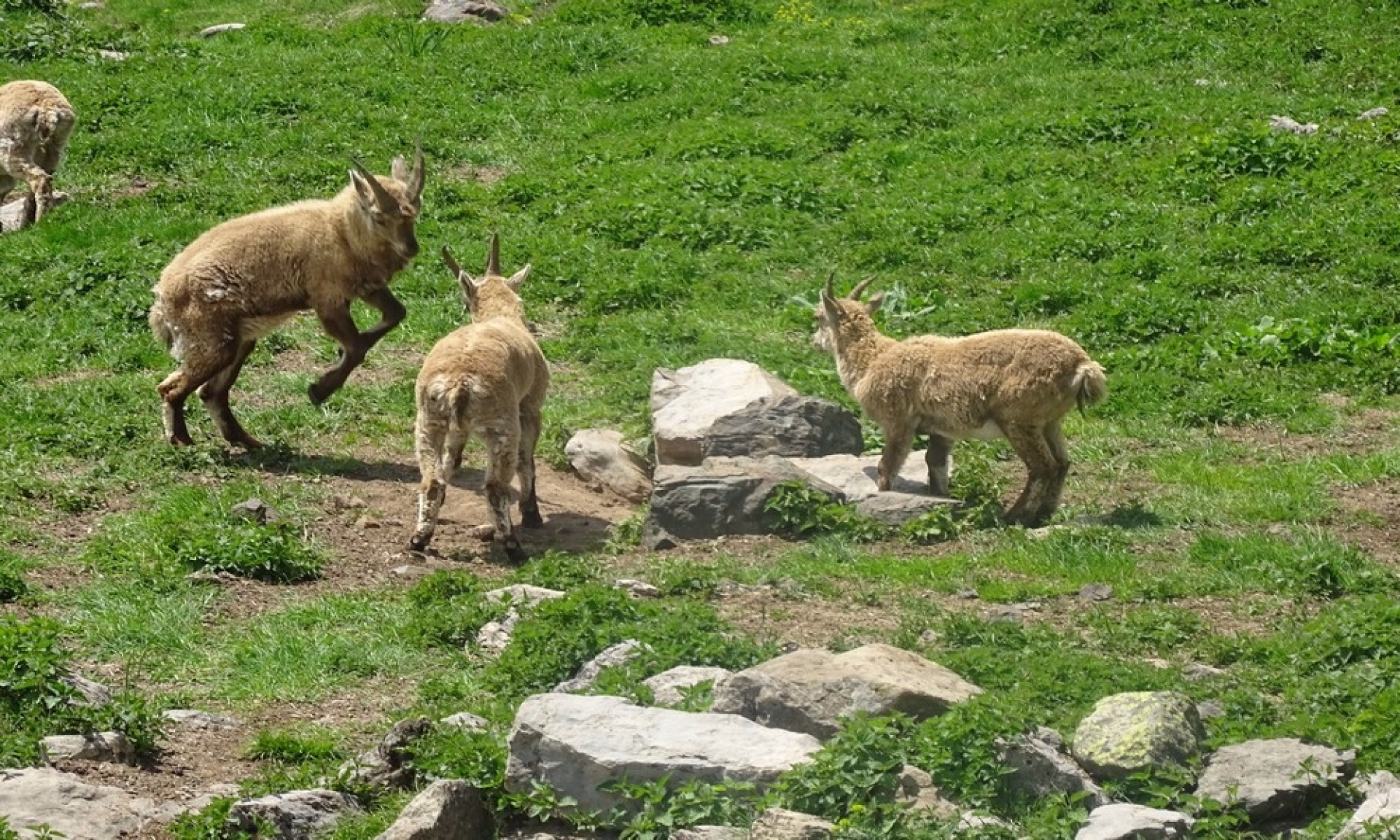 Randonnée à la découverte du Champsaur et des Hautes-Alpes