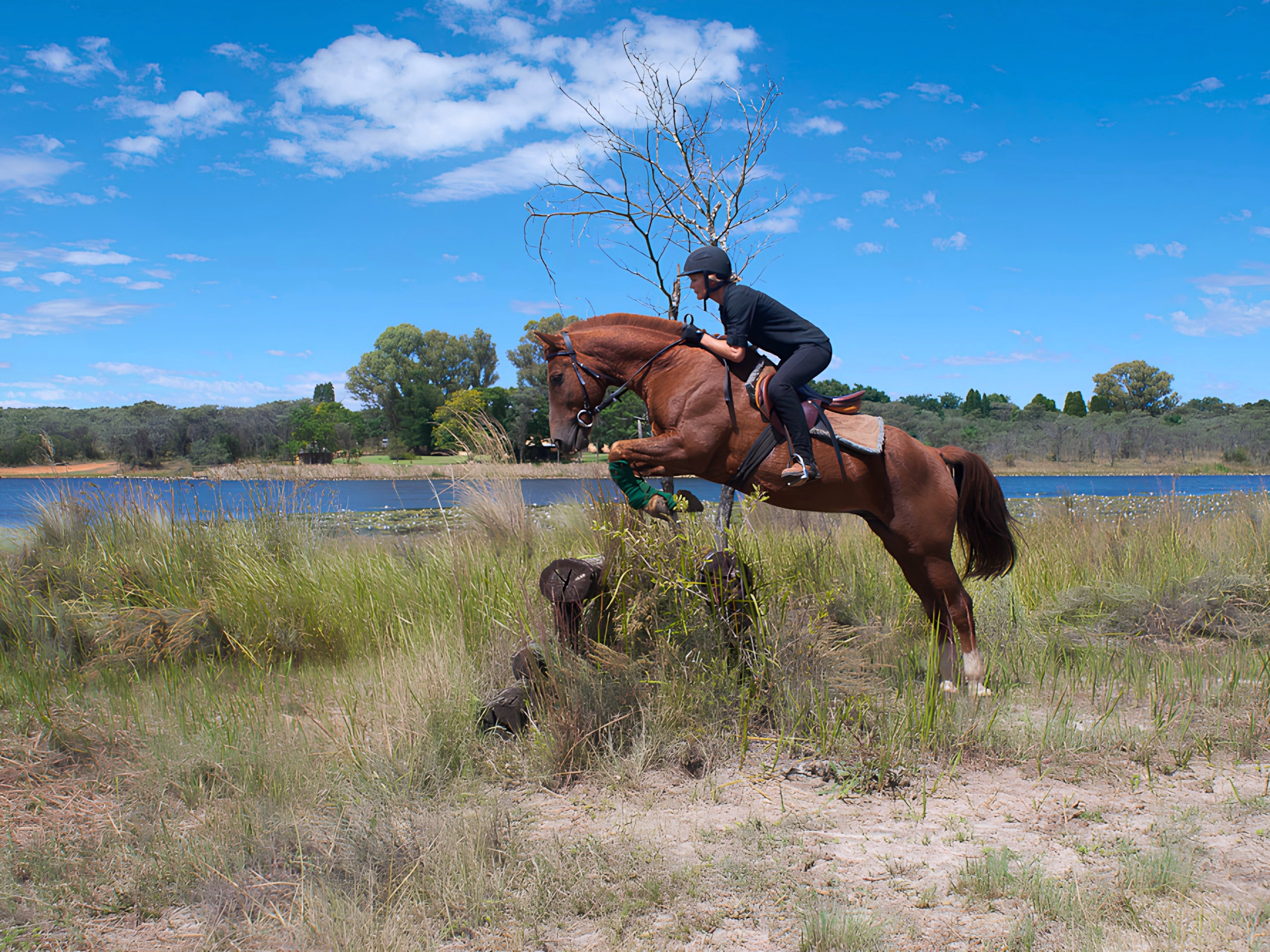 Safari à cheval, de l'Afrique du Sud au Botswana