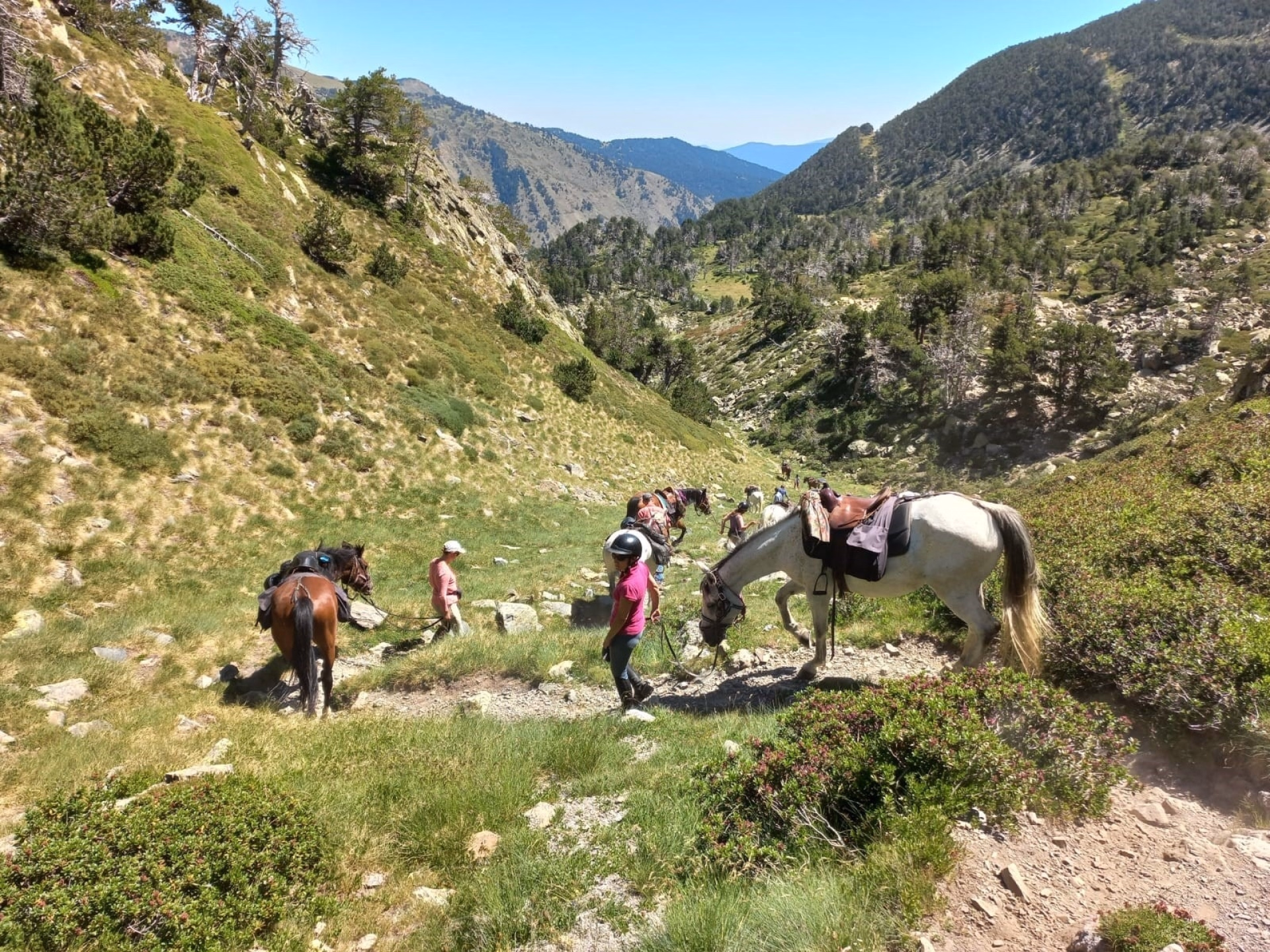 Rando équestre des lacs des Pyrénées Catalanes