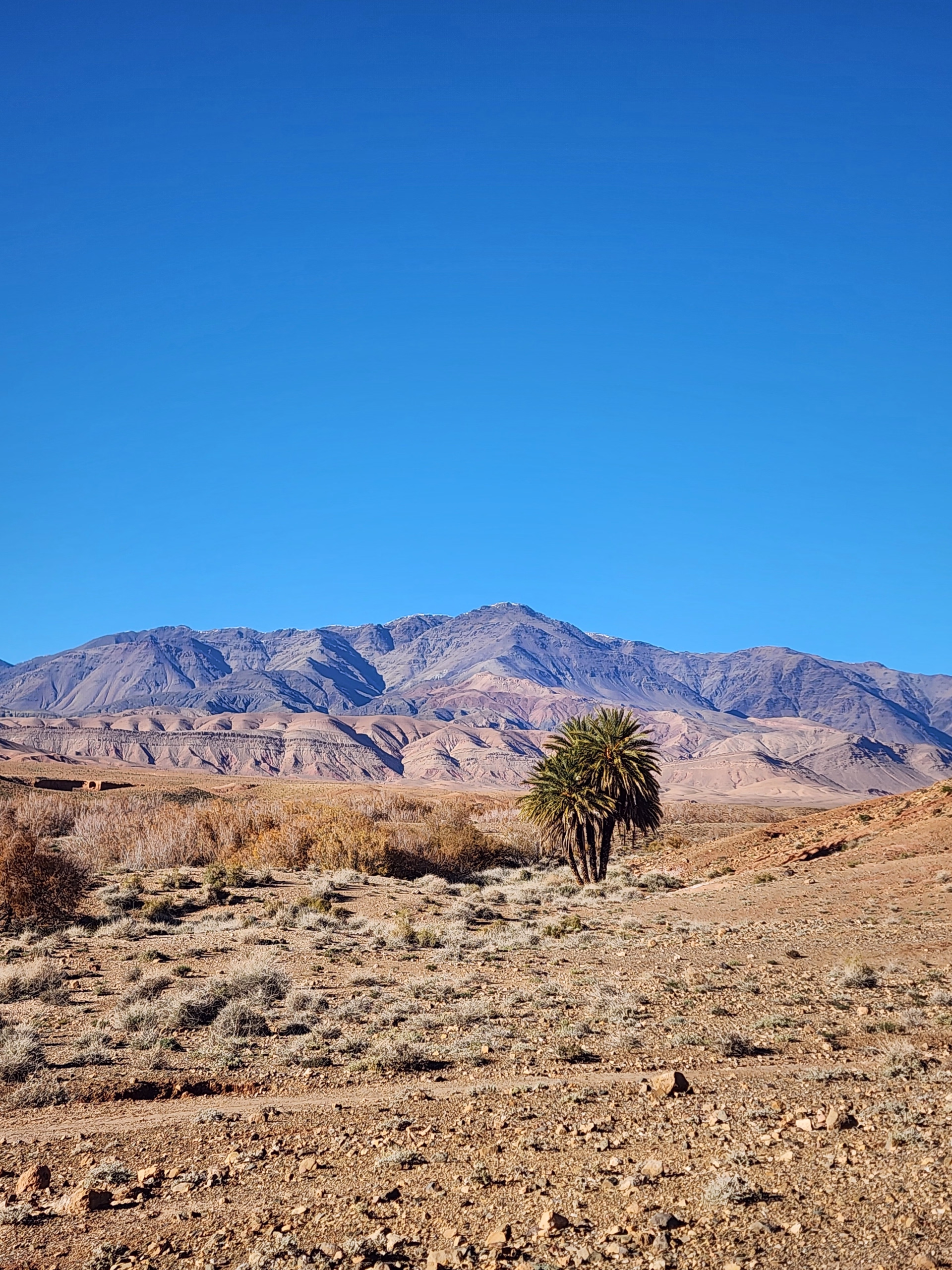 Le Sentier des 1000 Kasbahs : Découverte de la région de Ouarzazate