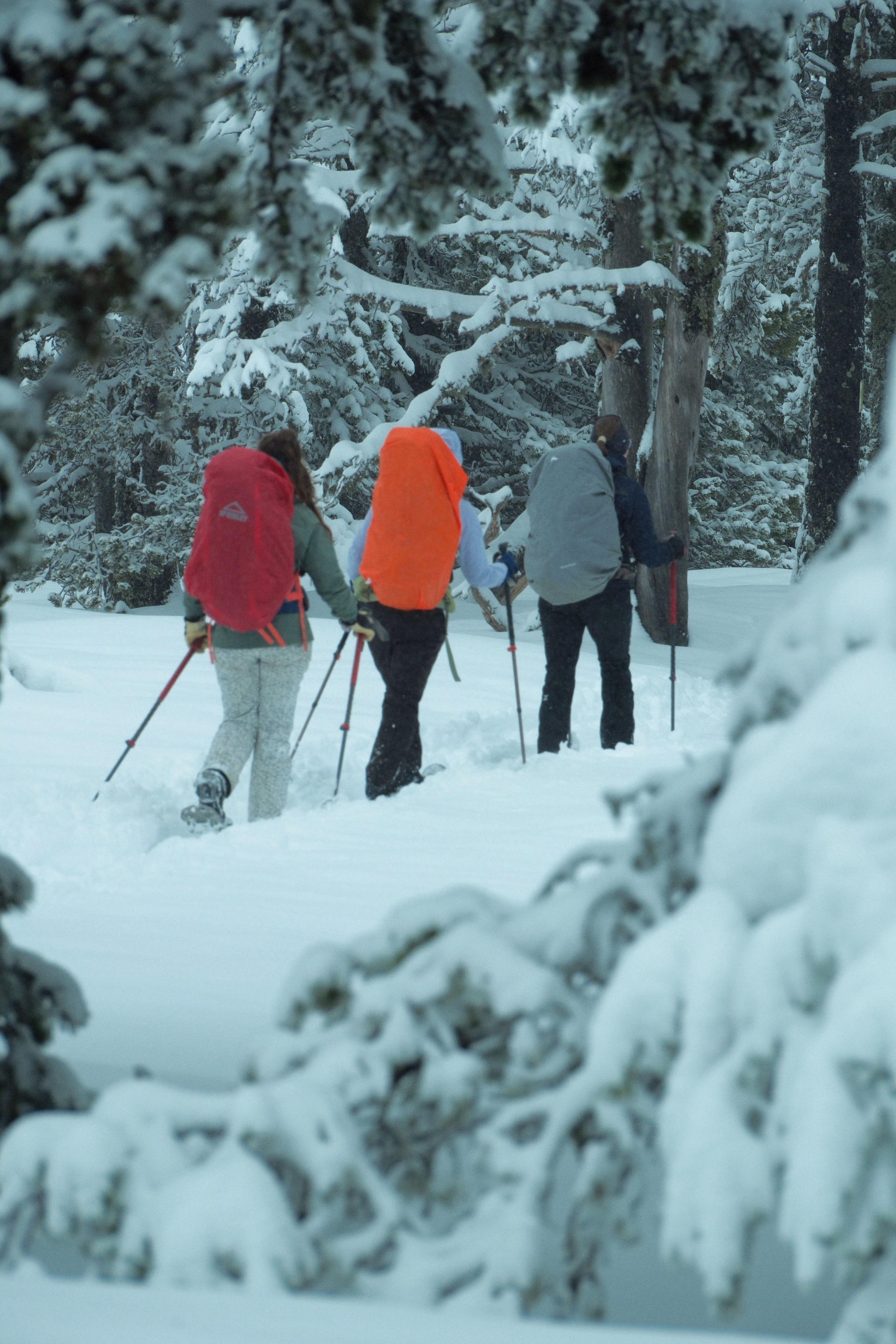 Itinérance en raquettes et nuits en refuges non gardés dans le Vercors