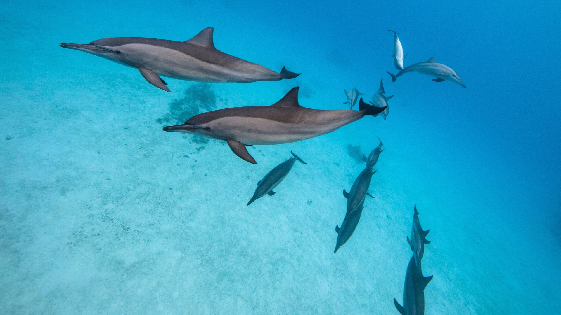 Croisière Snorkeling en famille