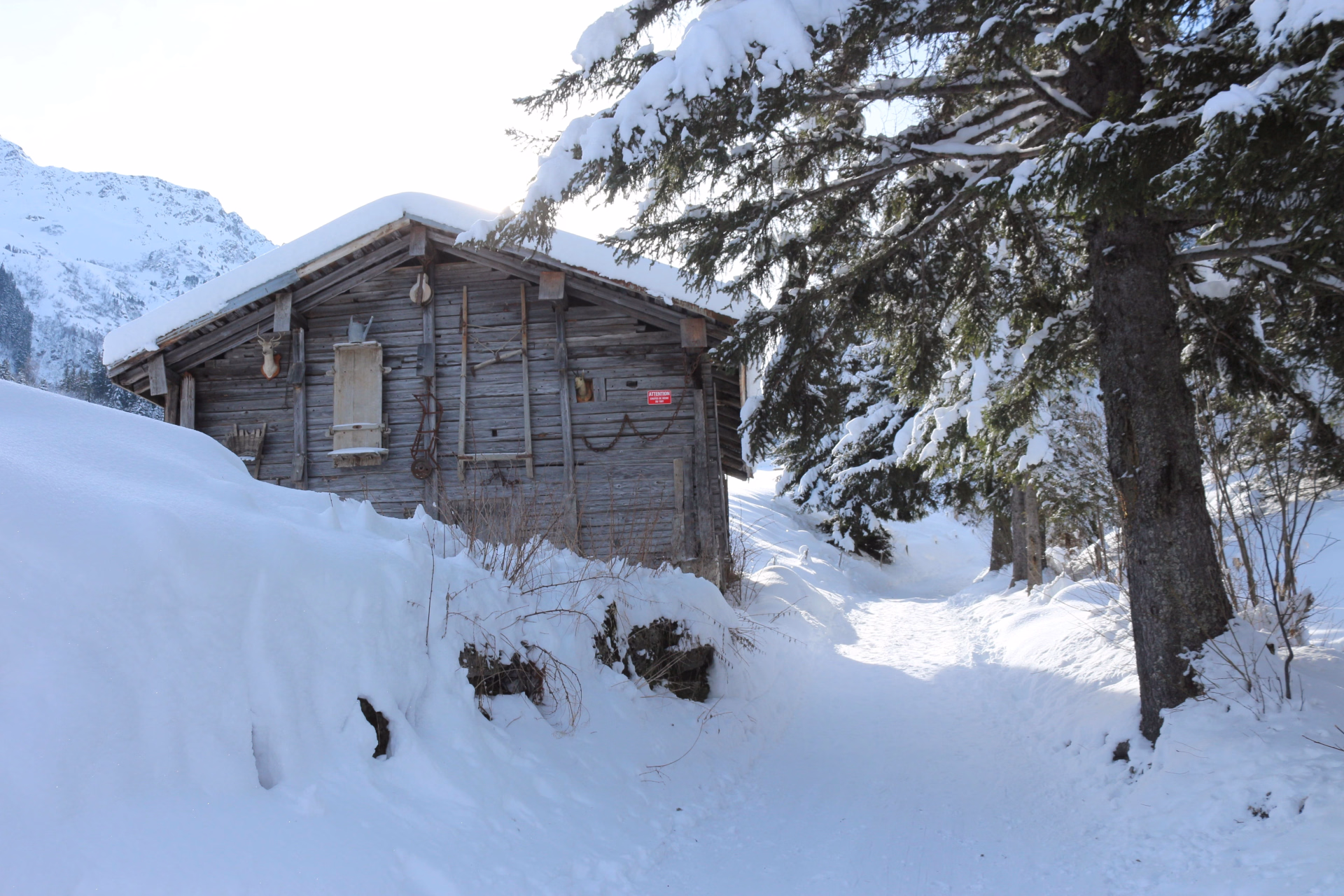 Séjour raquettes au pays du Mont-Blanc