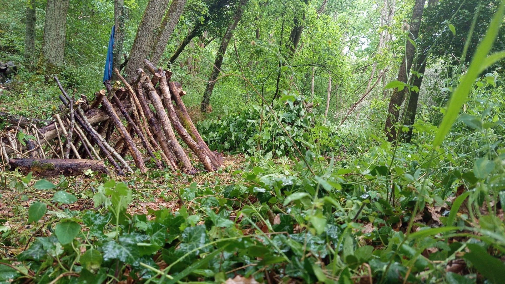 Aventure survie "Le Crash"