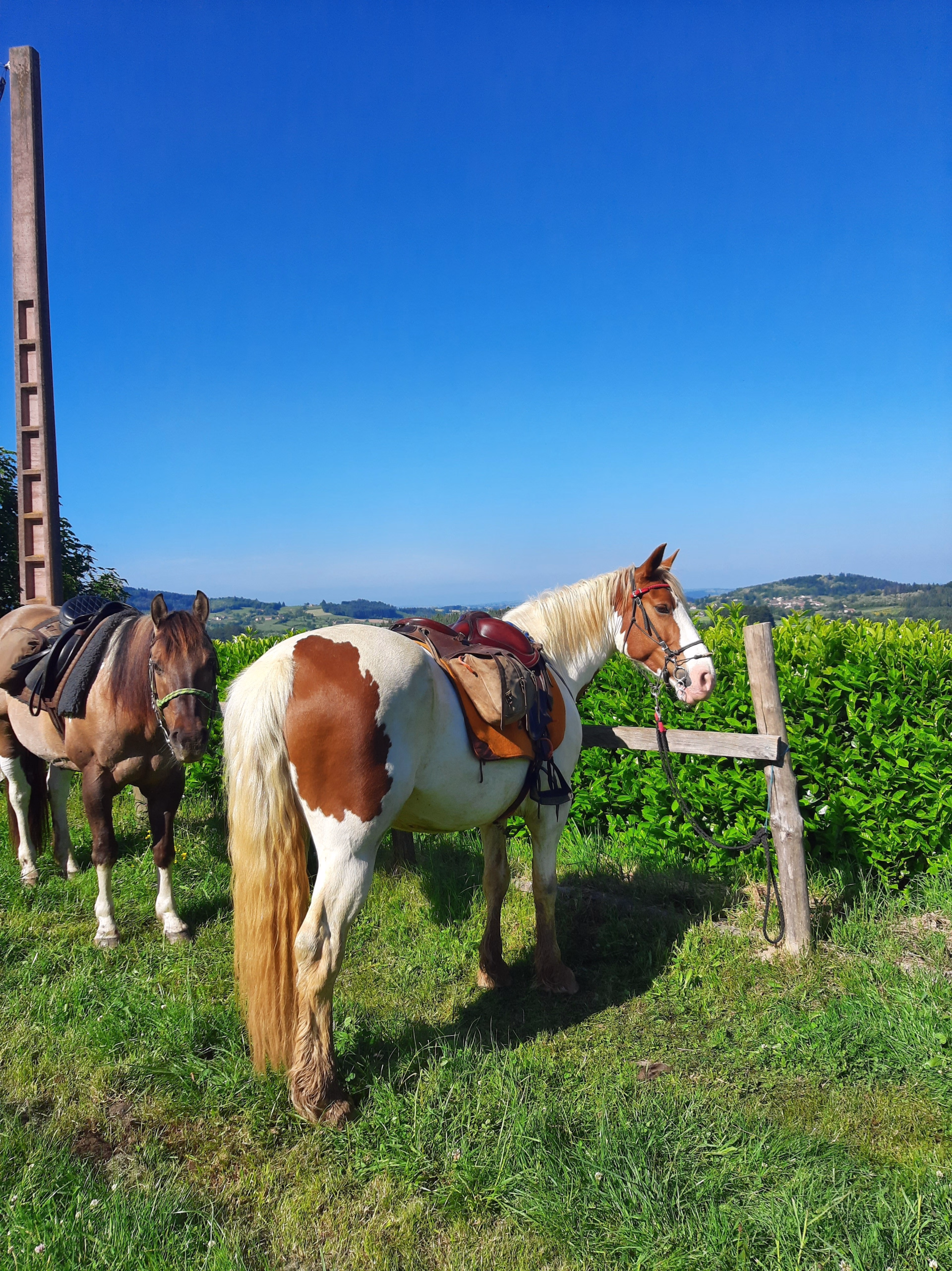 Les côtes de Beaune