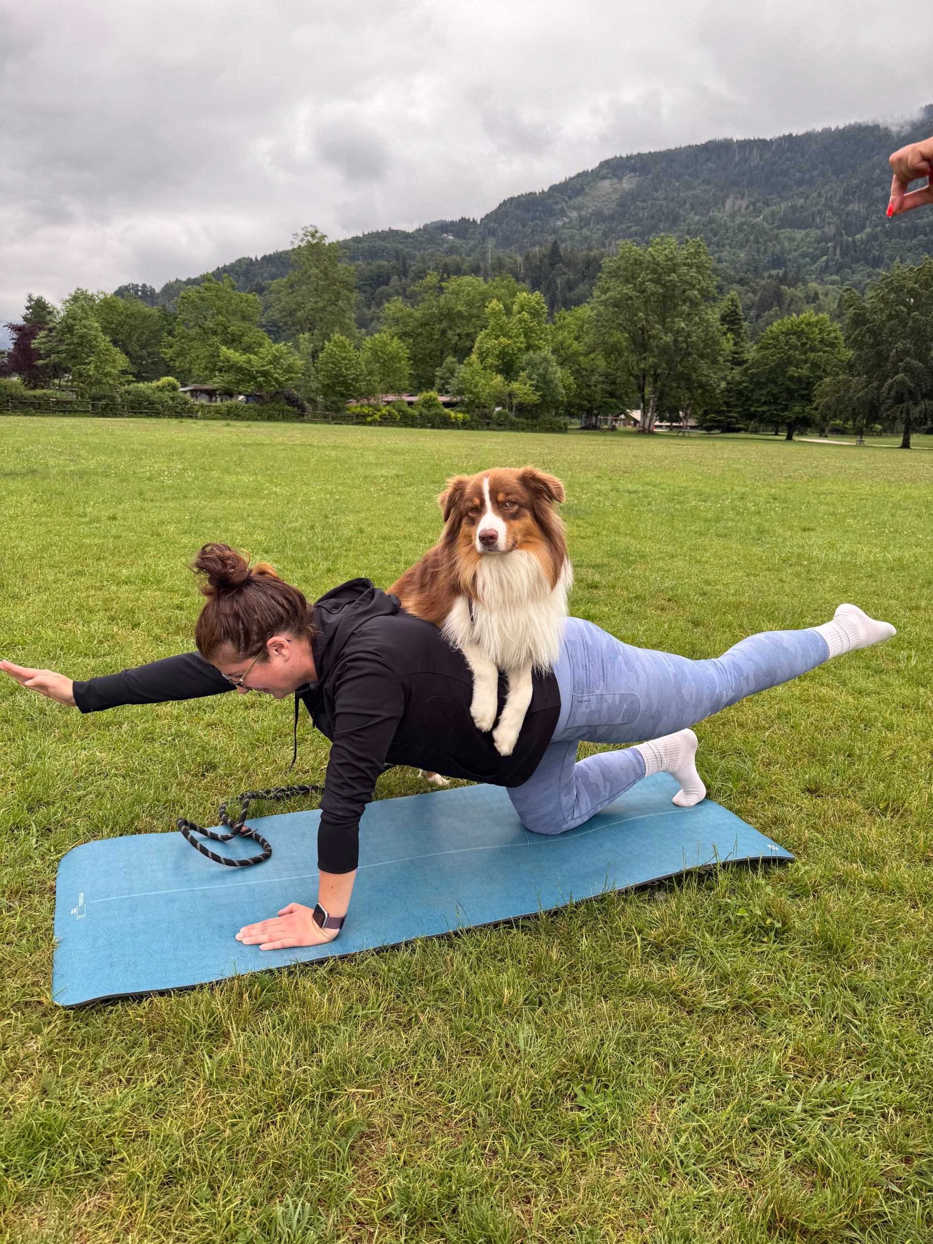 Séjour randonnée et doga en Haute-Savoie avec votre chien