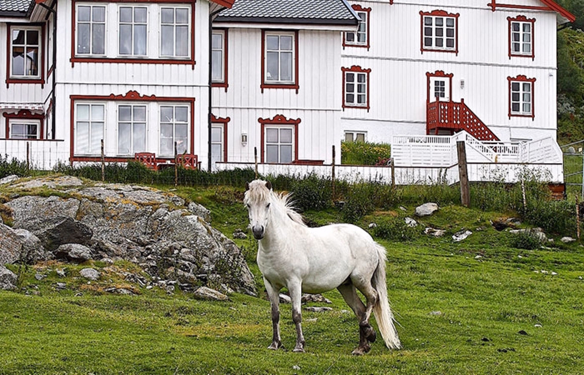 🏩 Hôtel rural - Jour 6