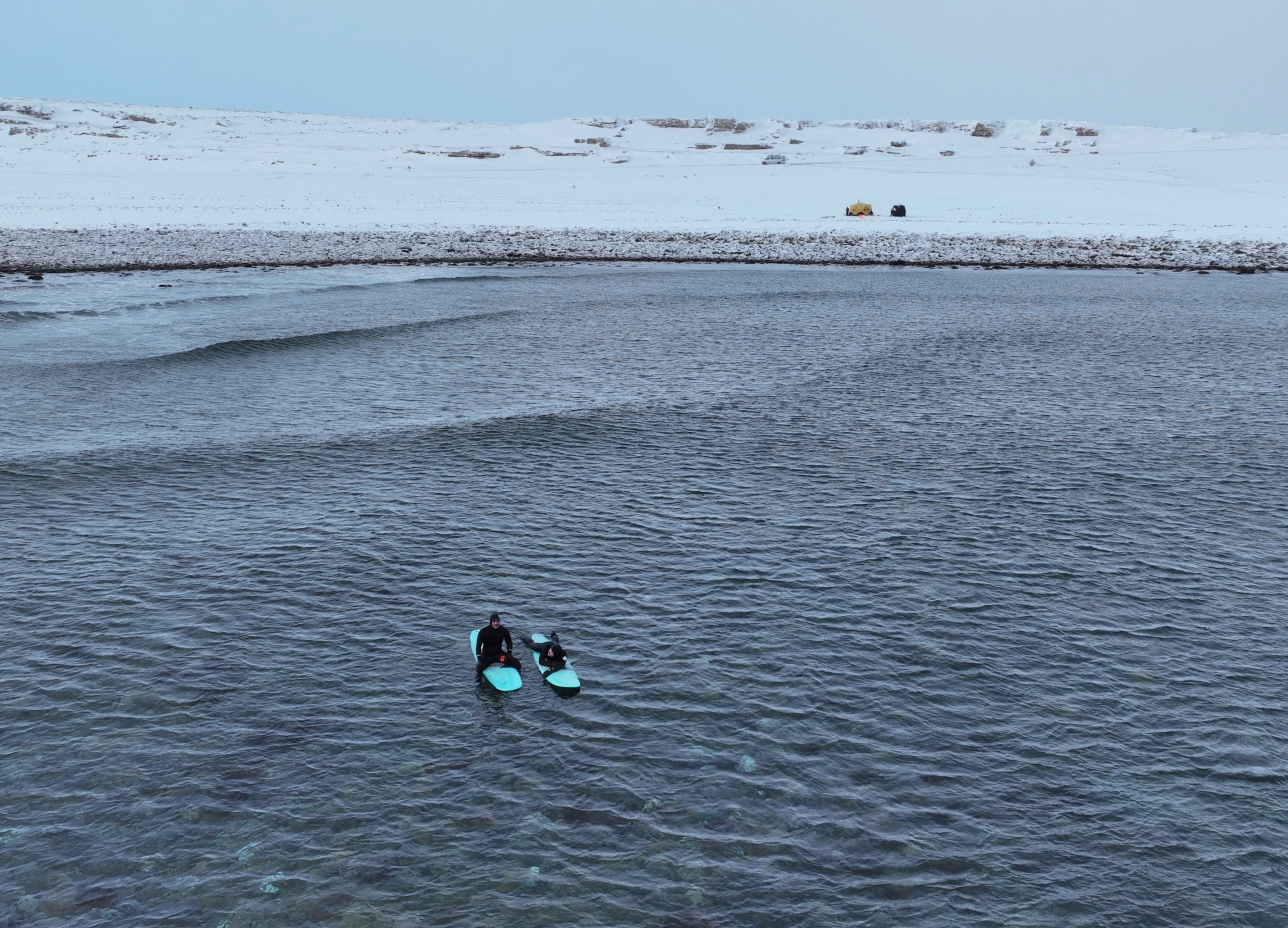 Expédition en terre arctique - chiens de traîneau et bivouac