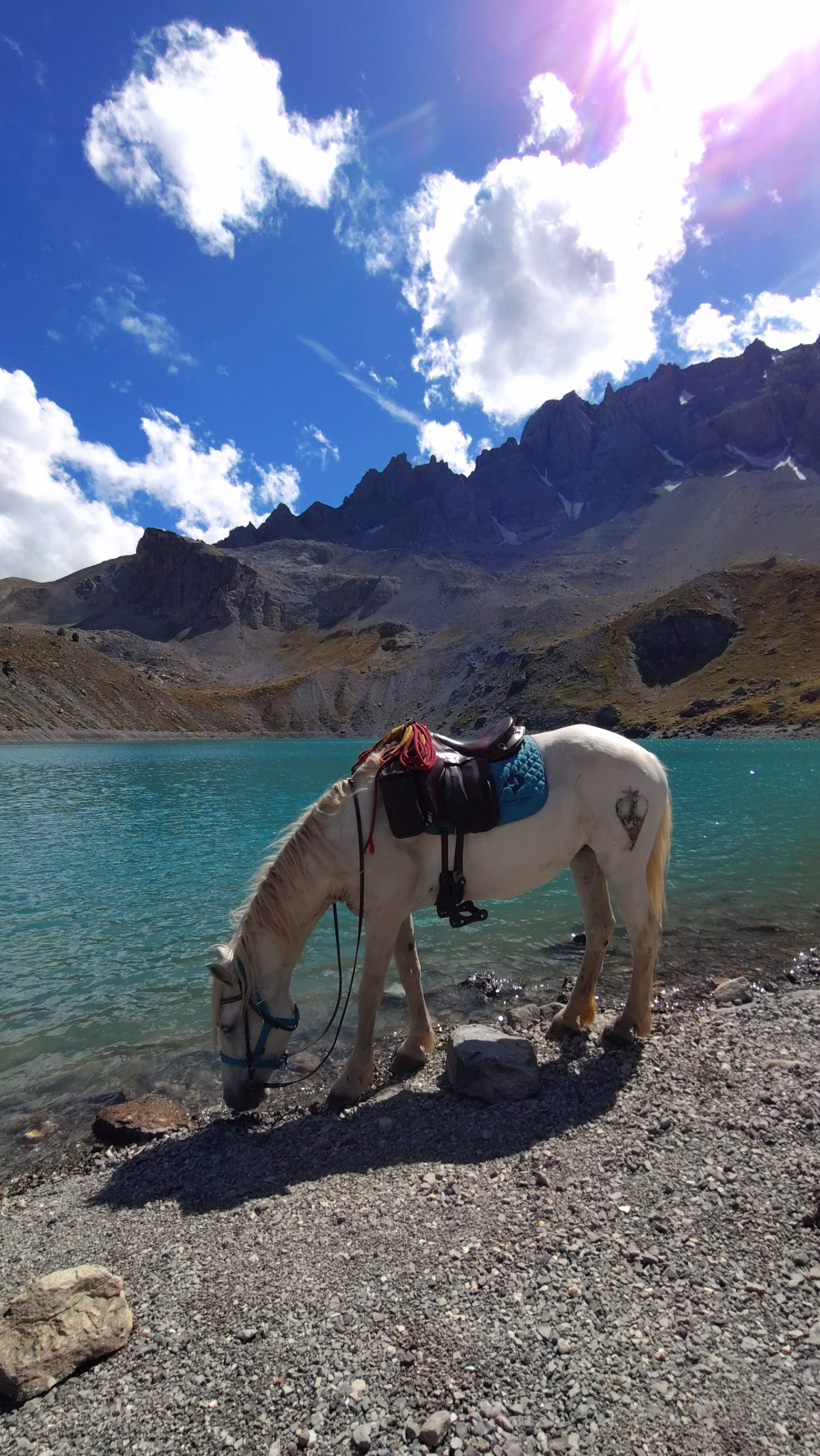 Trek des lacs et panoramas du Viso en Queyras