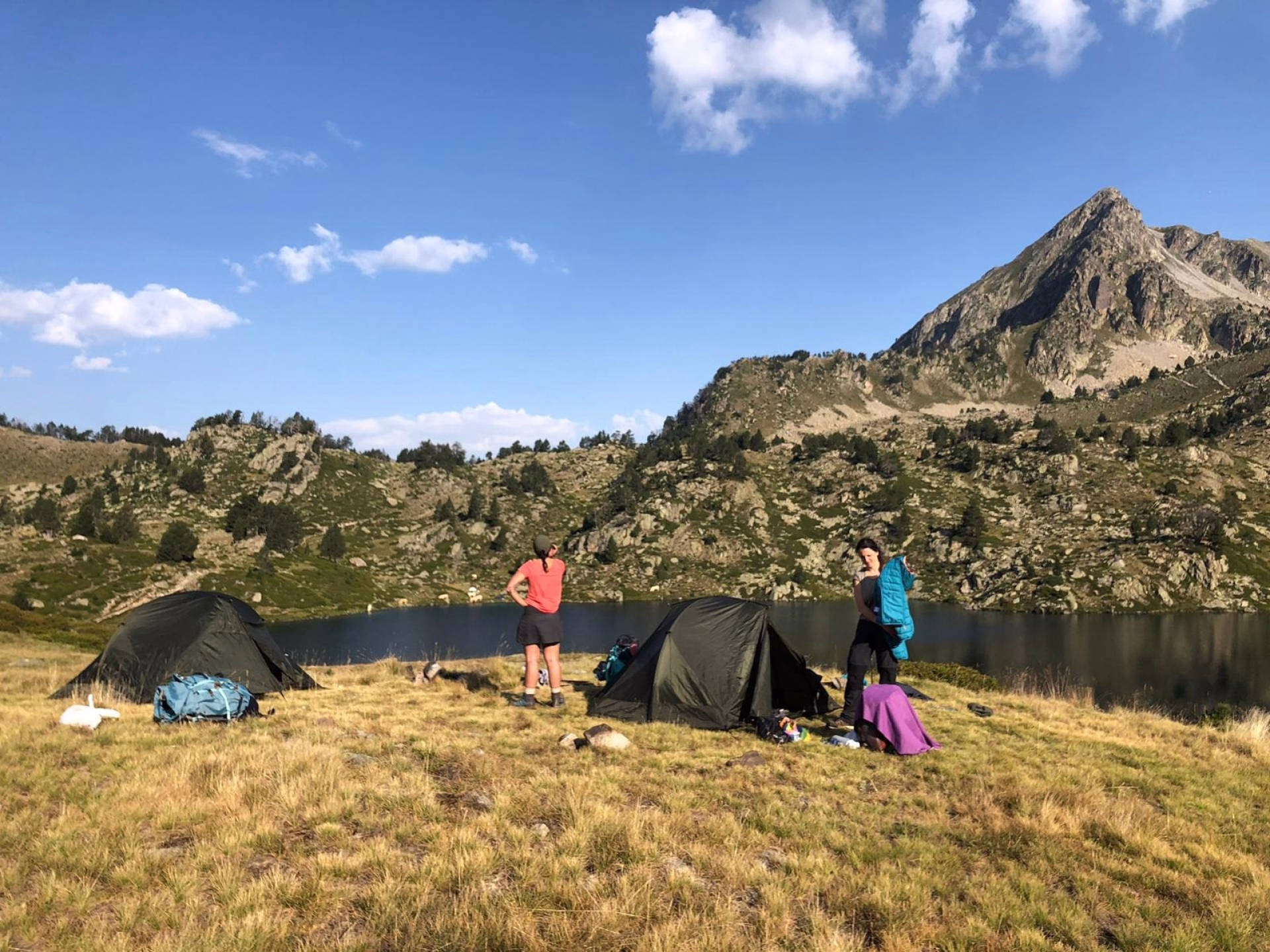 ⛺️ Bivouac / Tente - Jours 2 à 3