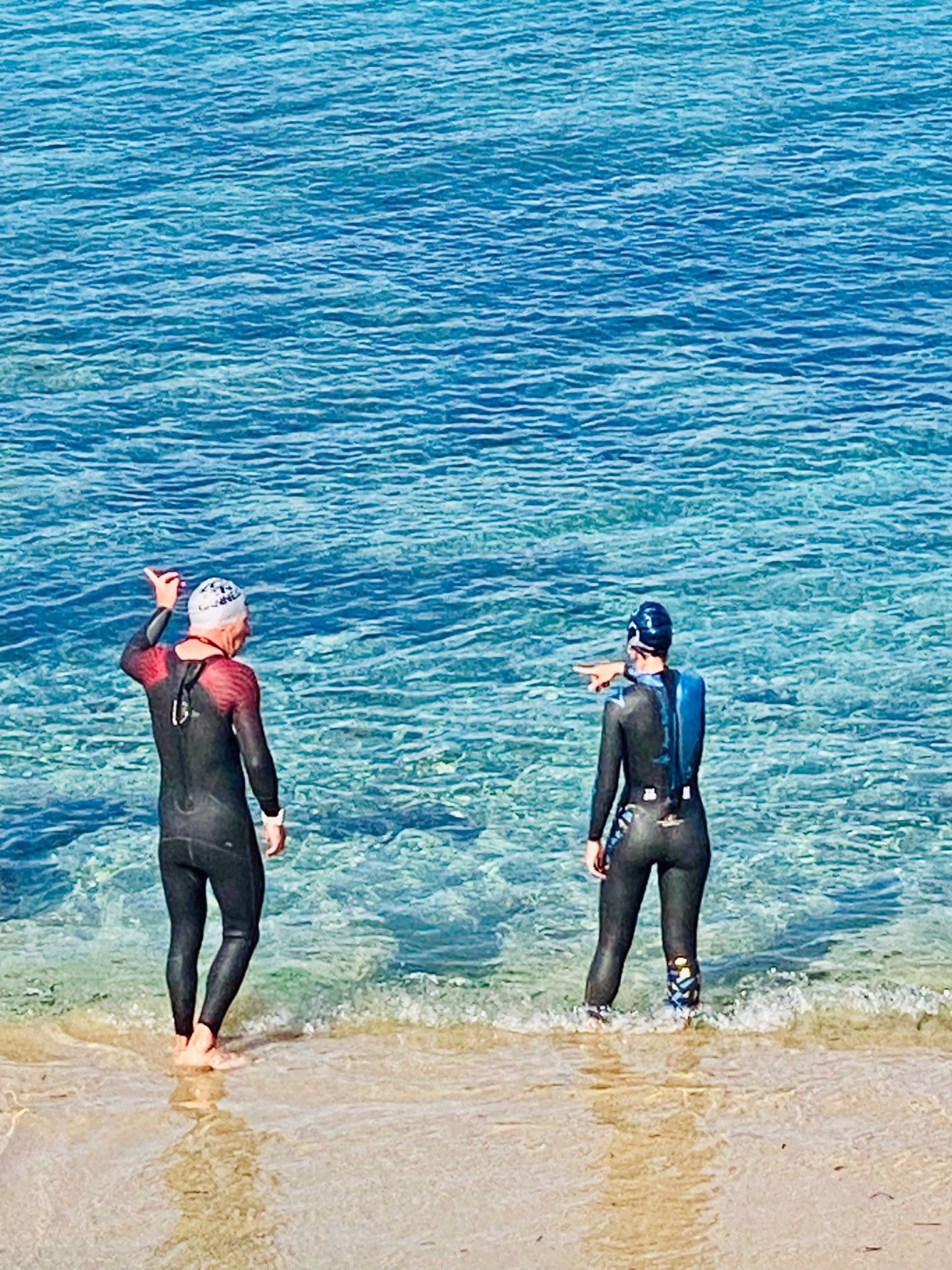 Stage natation et eau libre à Santa Marinella près de Rome