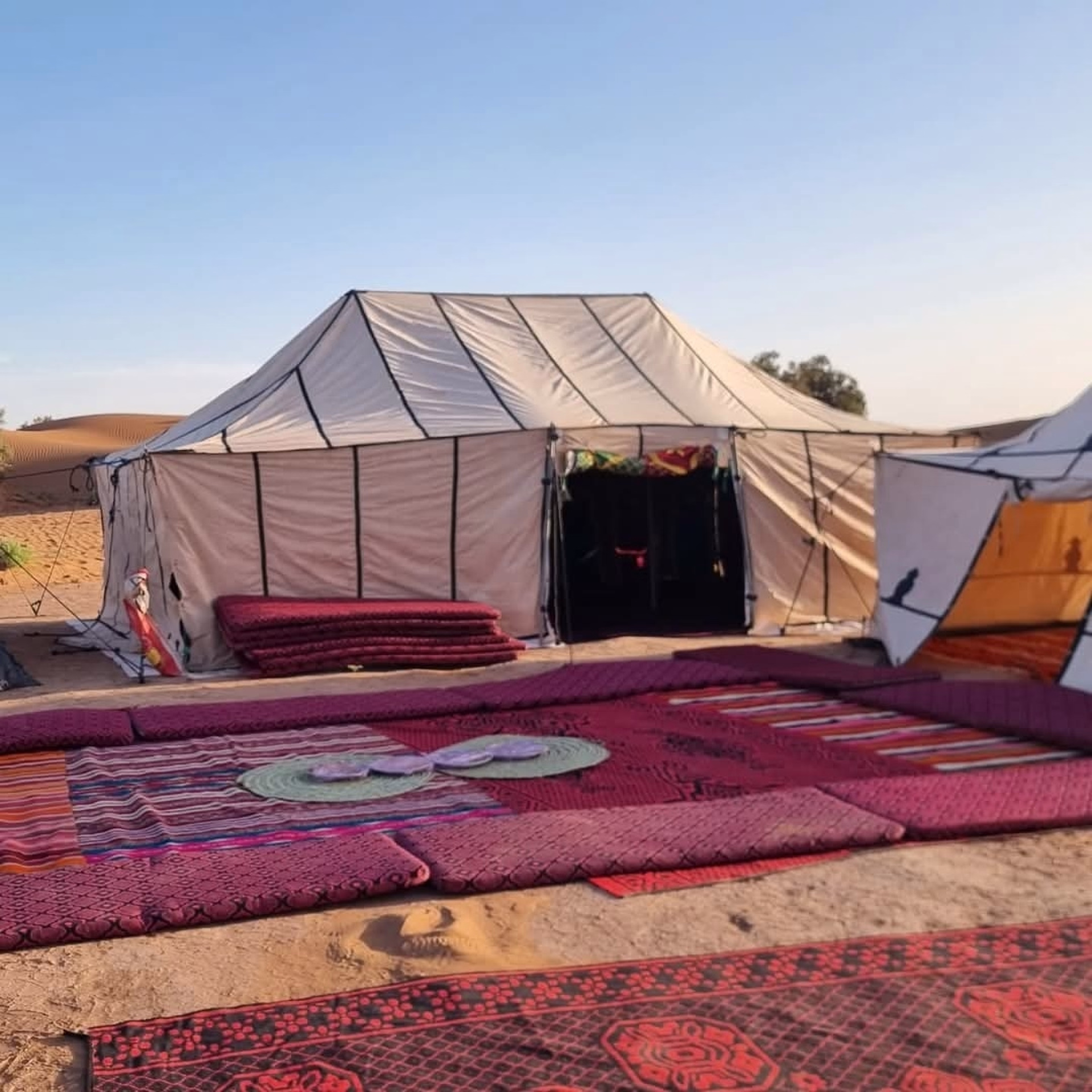 ⛺️ Bivouac / Tente - Jours 2 à 6