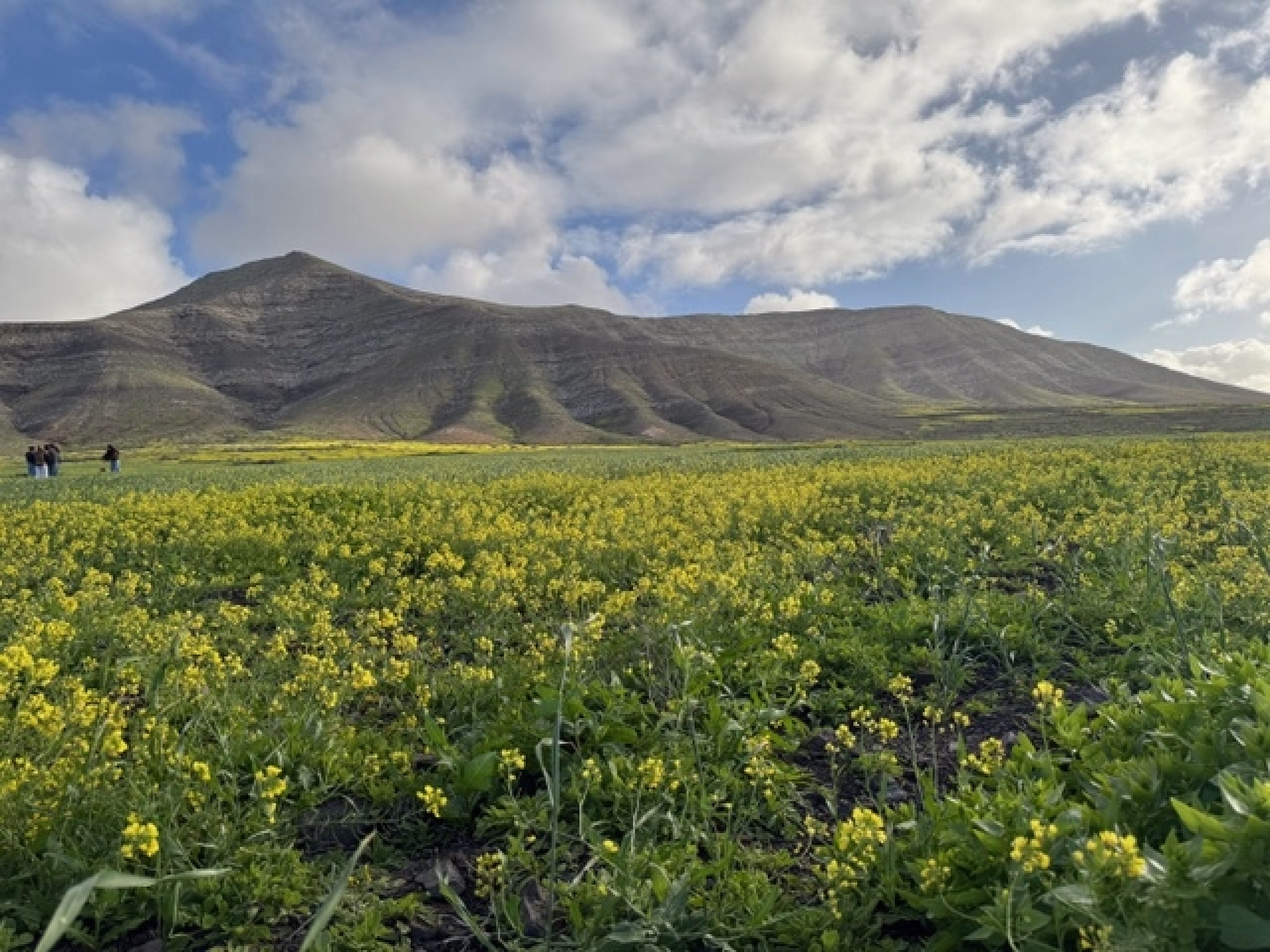 Initiation surf & relax au cœur de Fuerteventura
