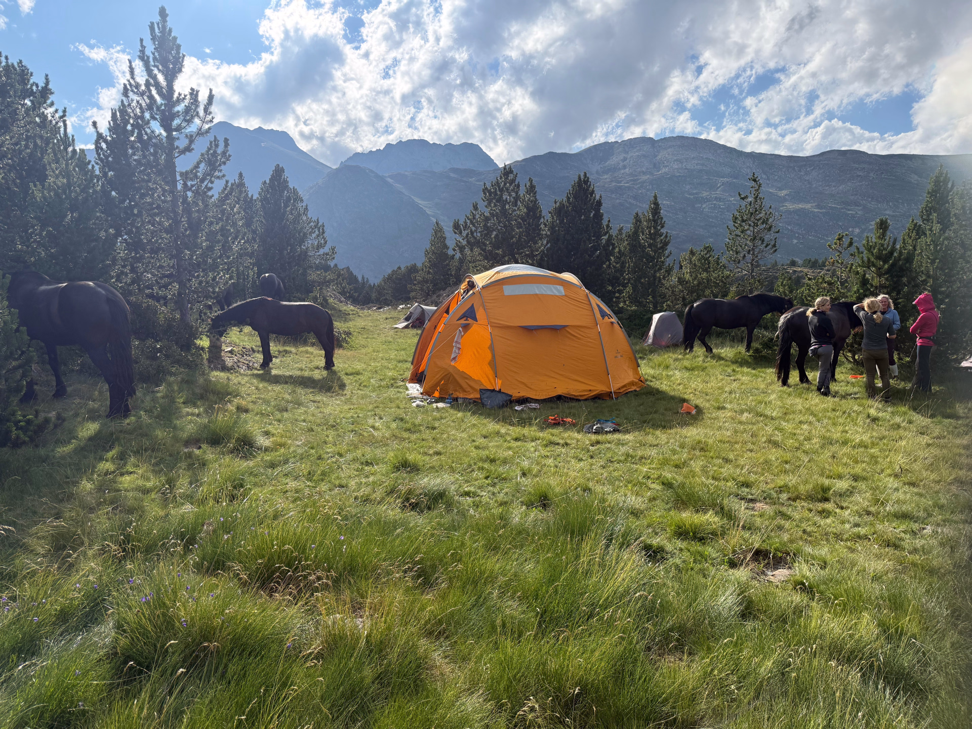 La randonnée à cheval des lacs de montagne