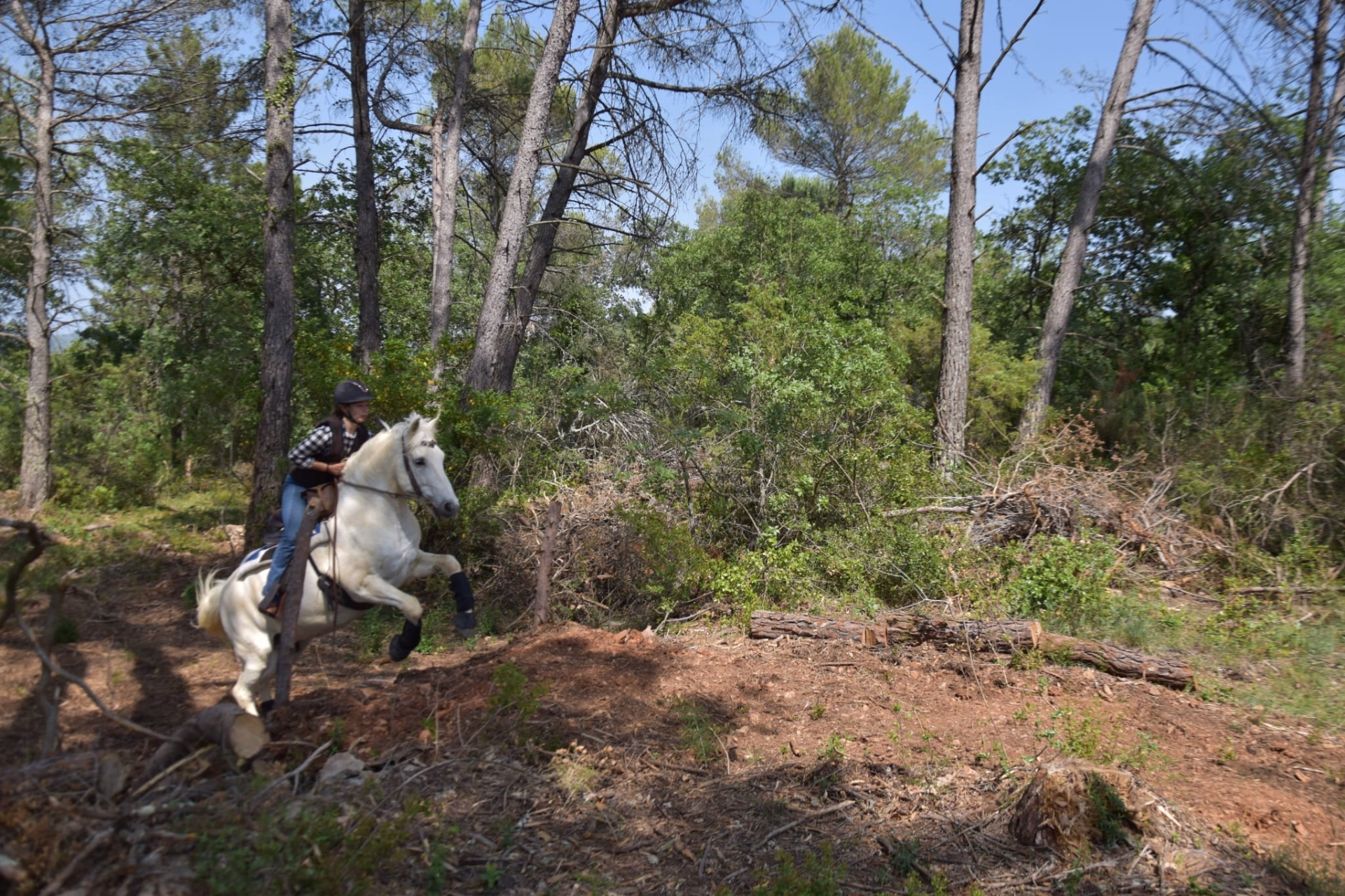 Week-end d'initiation au western et immersion ranch all inclusive