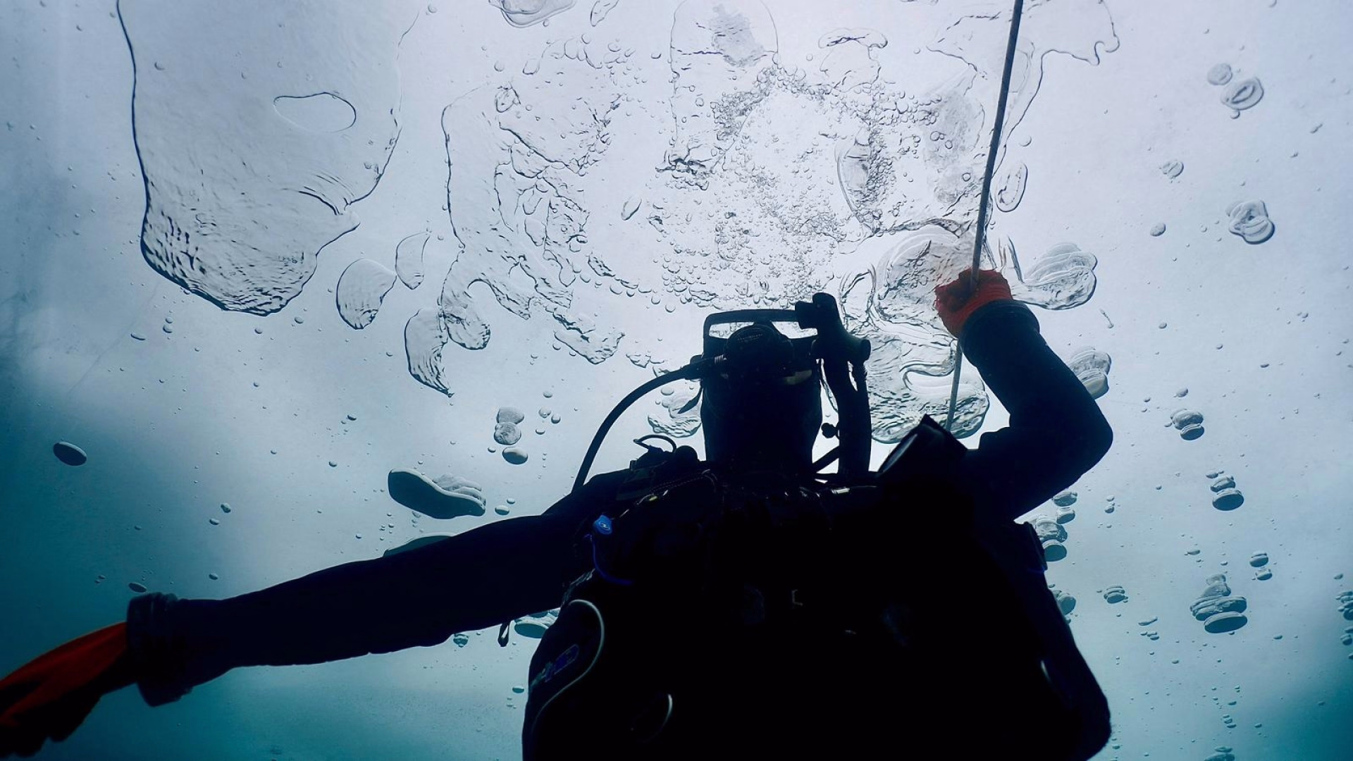Séjour Ice Diver : plongée et apnée sous glace