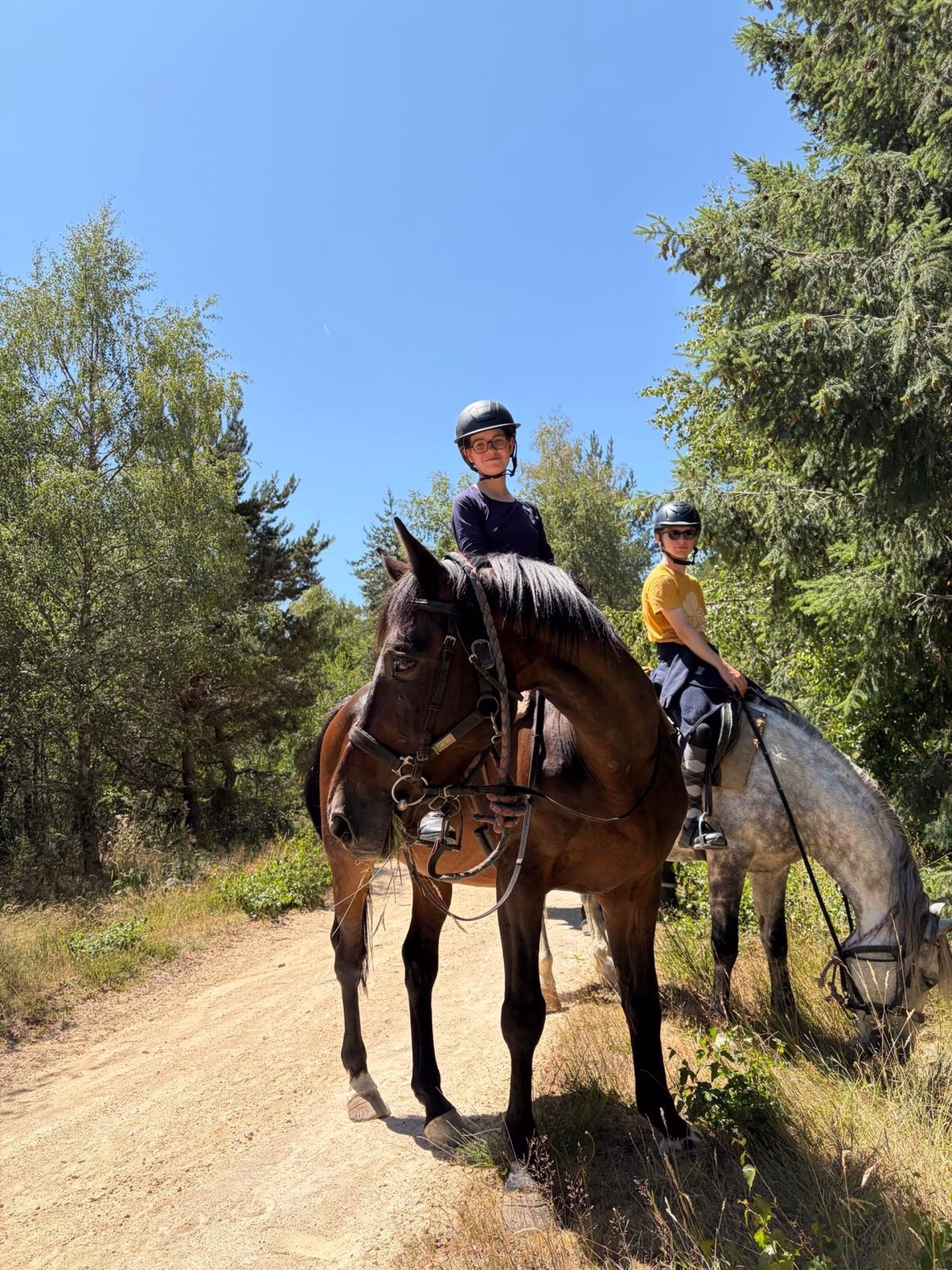 Aventure équestre en Lozère - Bon Plan pour les familles de cavaliers