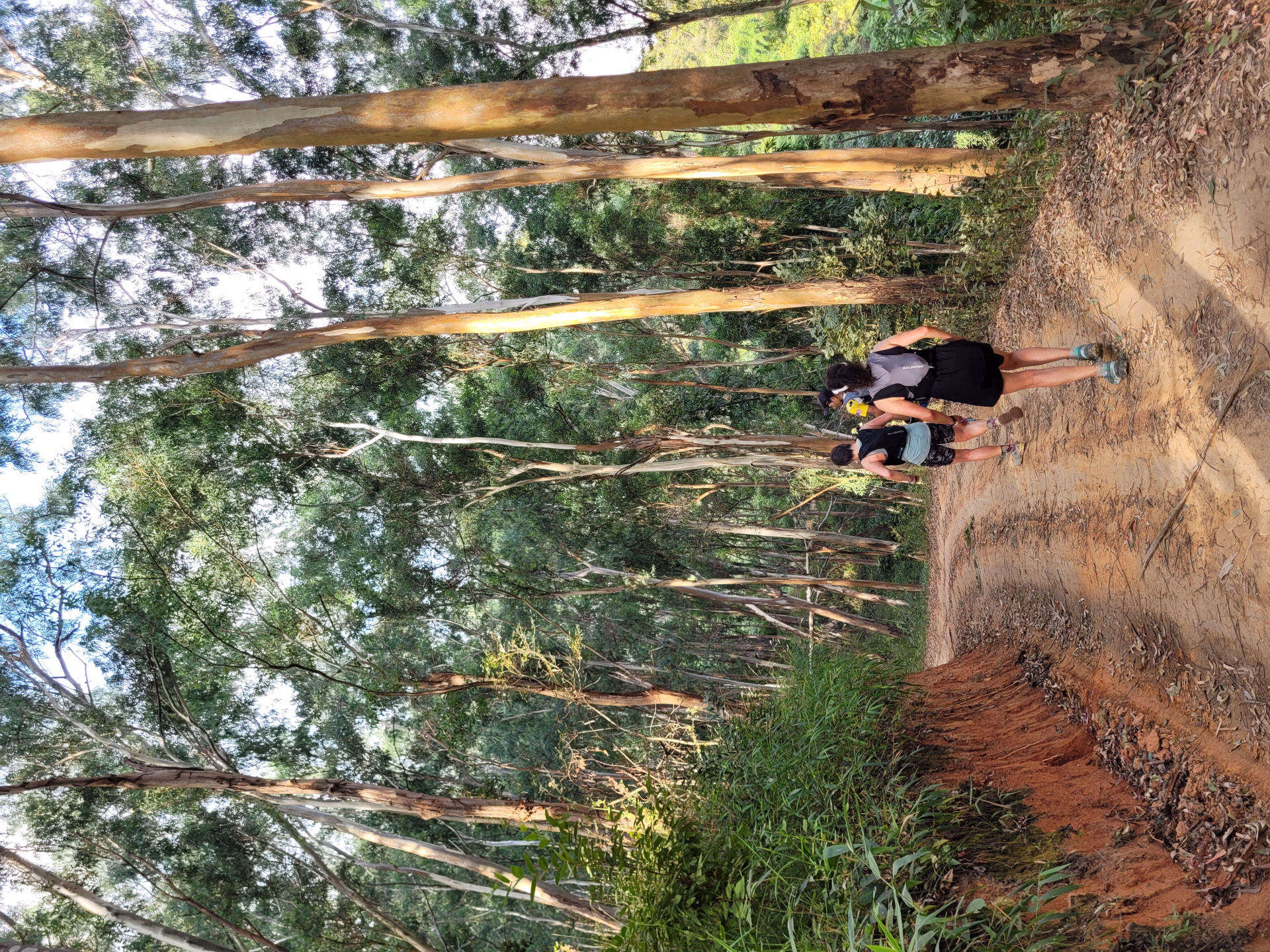 Stage trail en Thaïlande : au cœur des montagnes de Chiang Mai