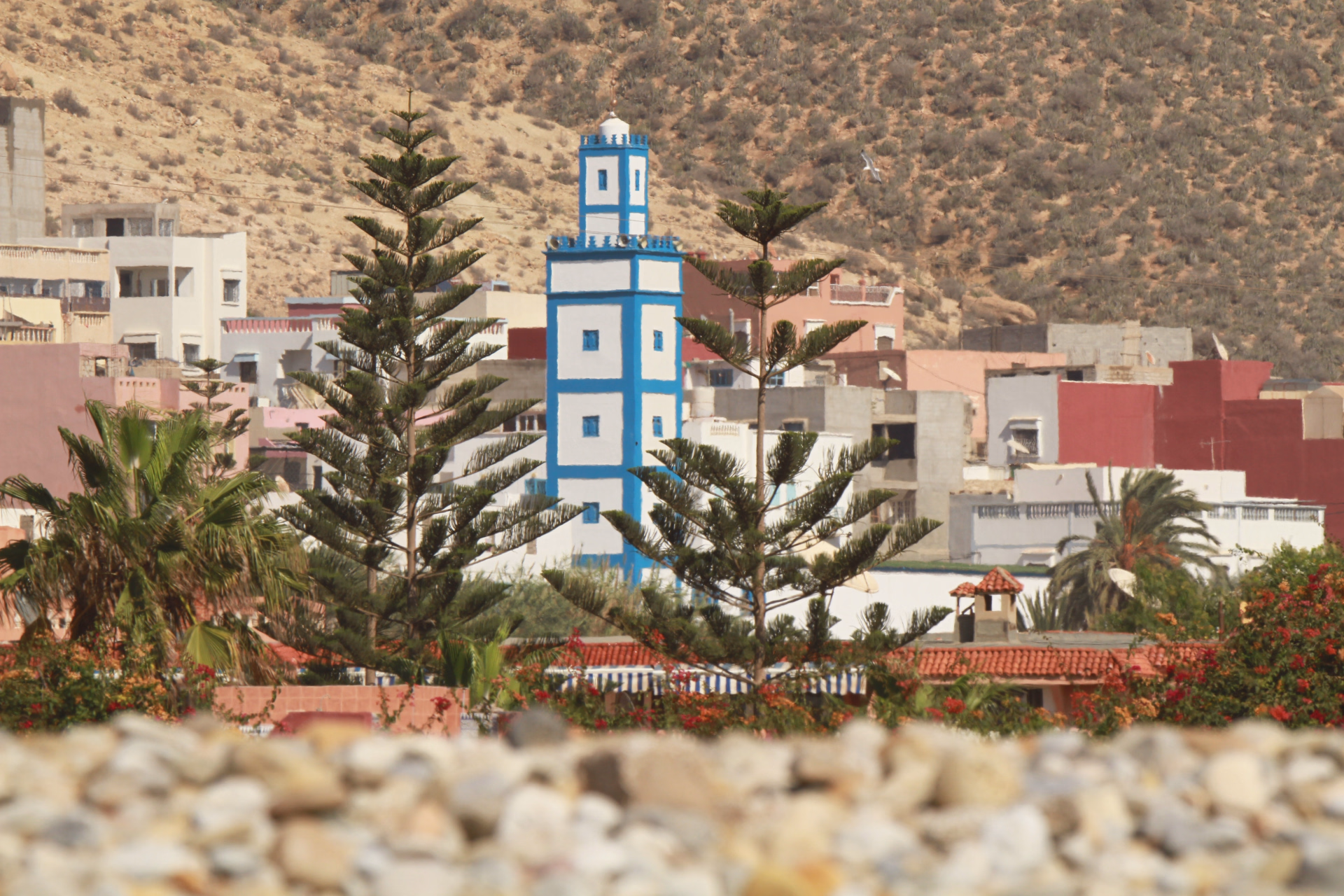 Surf Guiding & Perfectionnement dans les vagues de Taghazout - 5 jours