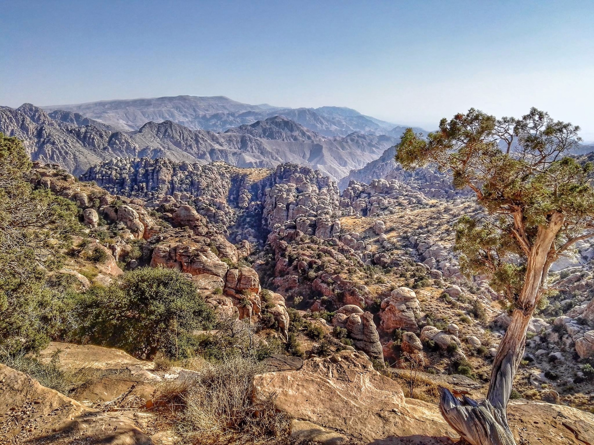 Eco nature en Jordanie : au cœur des Réserves Naturelles jordanienne