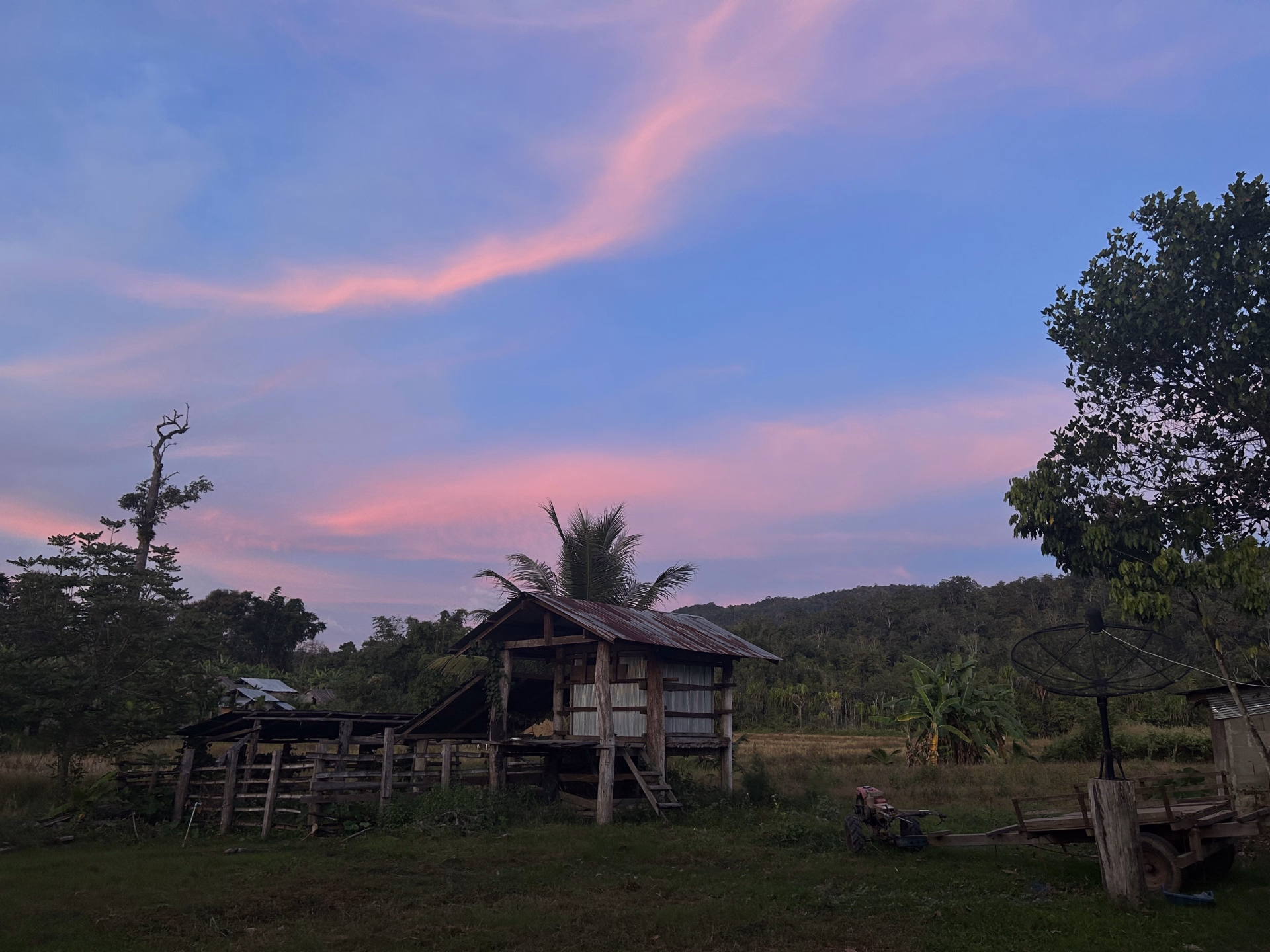 Trek, cascades et éléphants sauvages au cœur de la Thaïlande