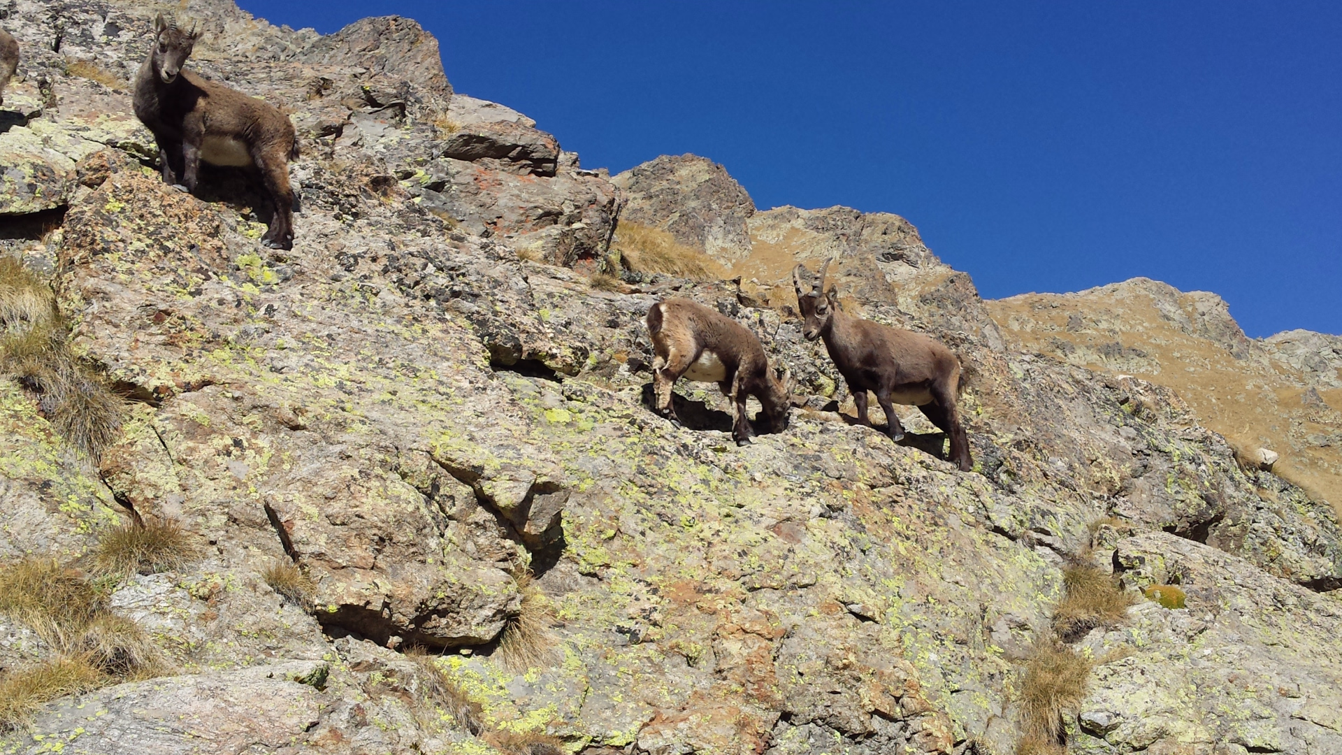 Randonnées en Haute-Ariège, avec option bien-être