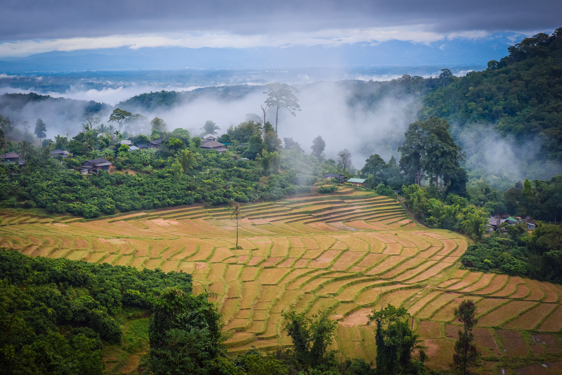 Excursion nature dans les rizières Karen en Thaïlande