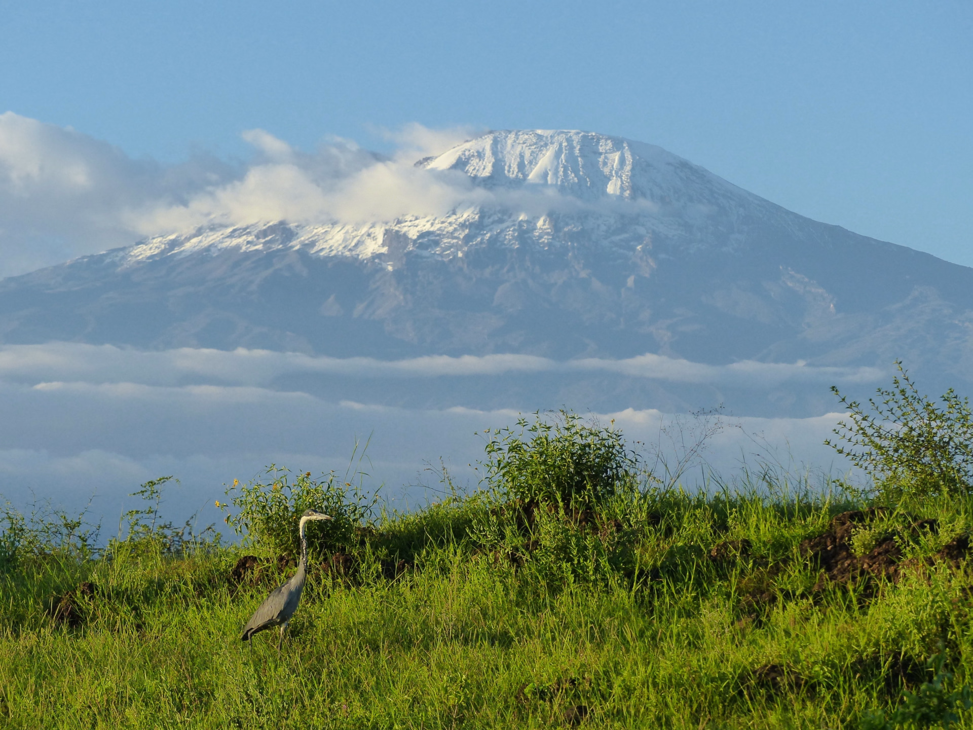 Ascension solidaire du Kilimandjaro via la voie Marangu