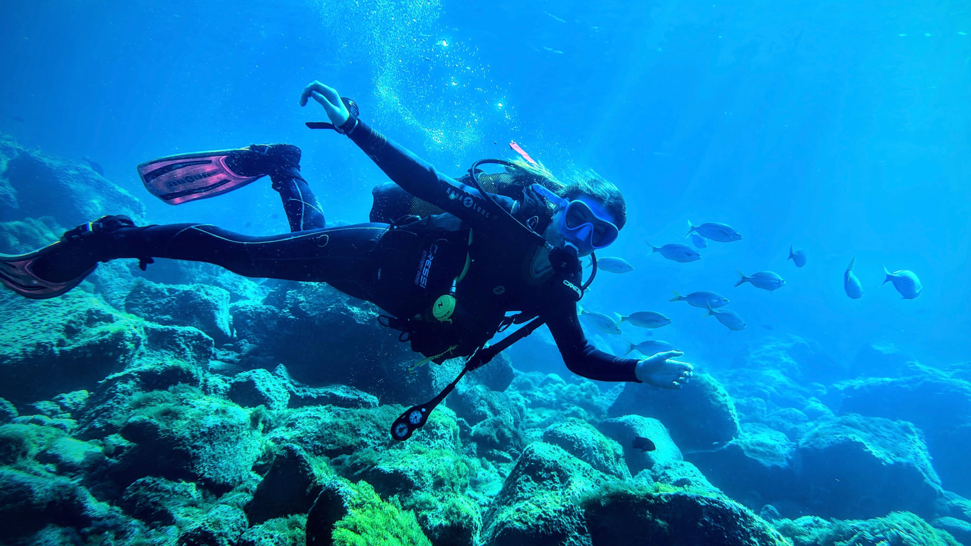 Une semaine d'exploration sous-marine à Tenerife
