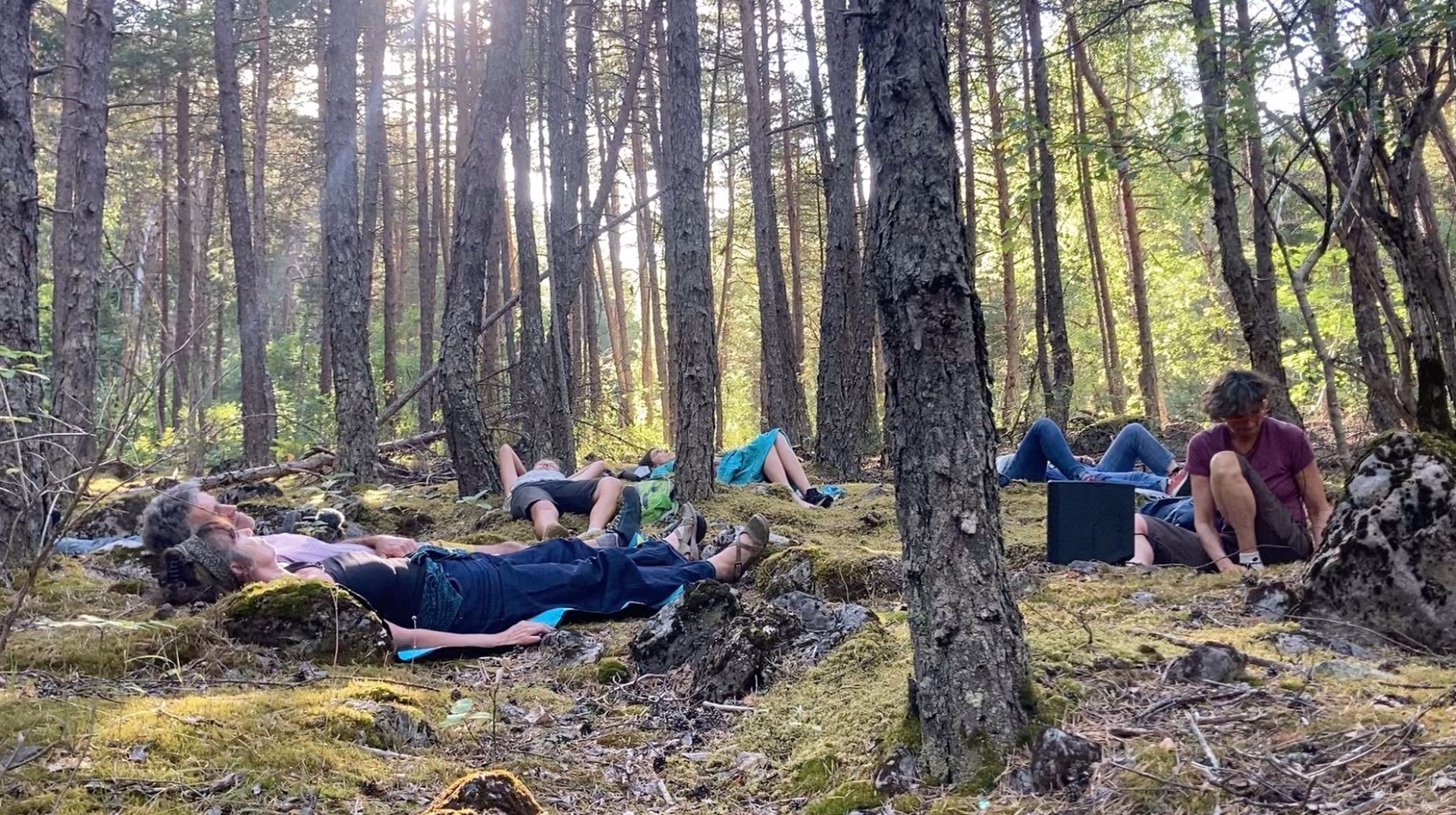 Sylvothérapie par la Forêt Arc-en-Ciel