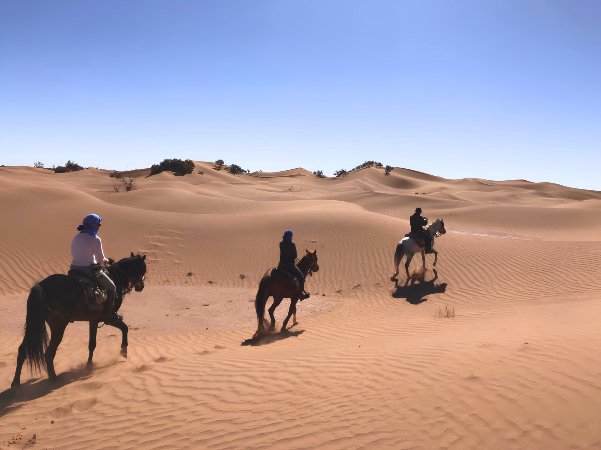 Randonnée équestre dans le désert du Sahara