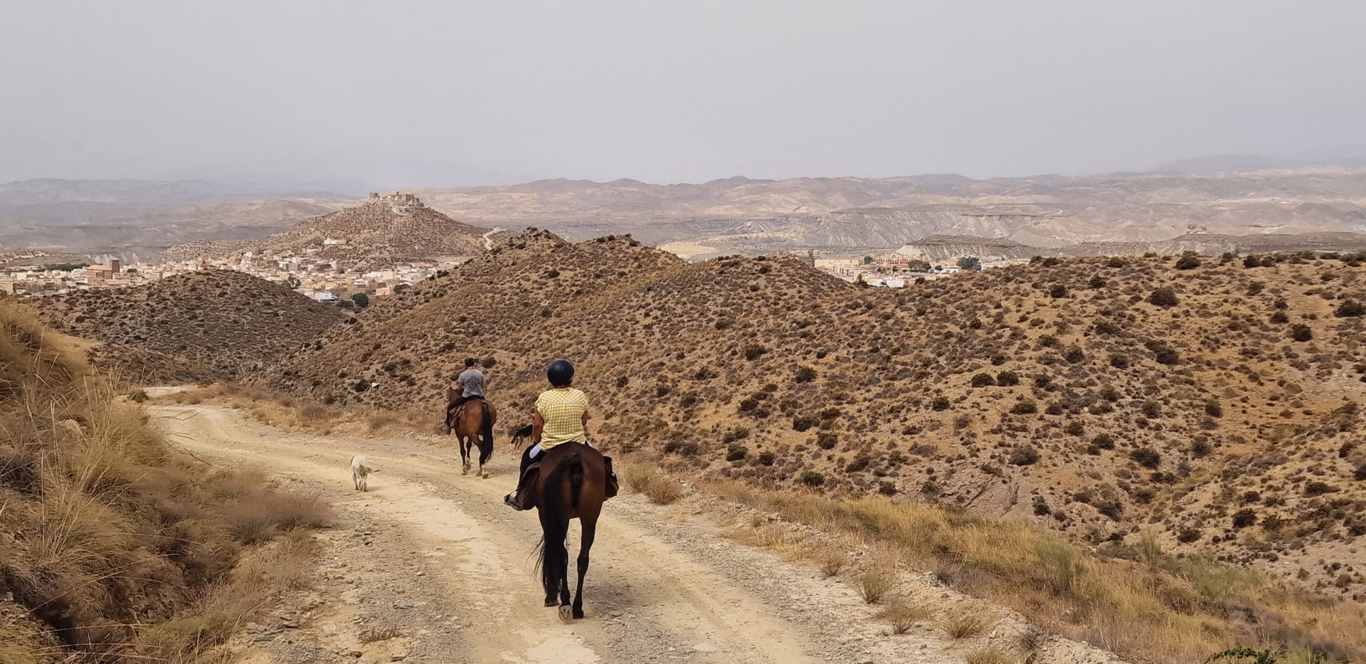 Randonnée équestre dans le désert de Tabernas
