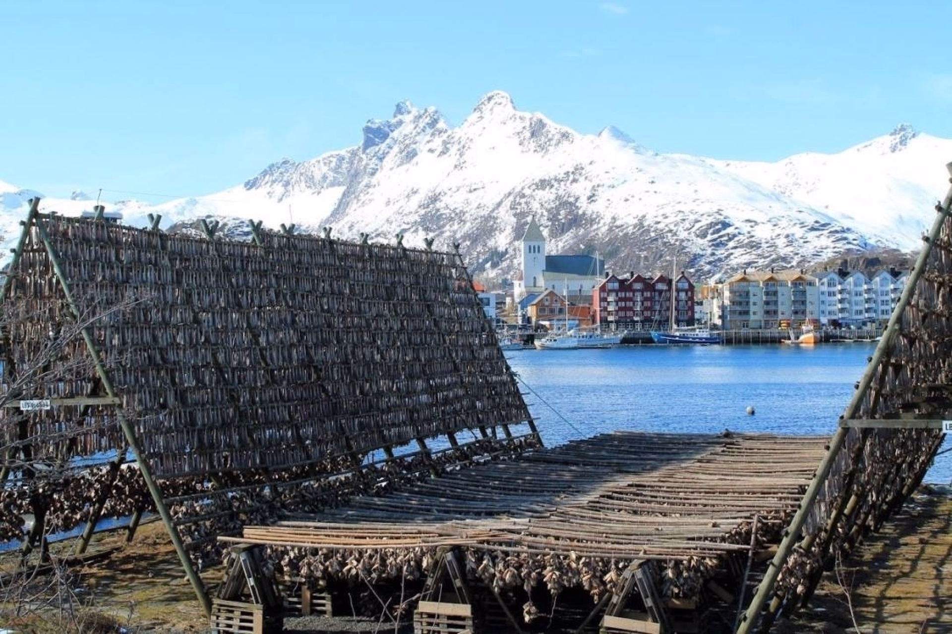 Lofoten : odyssée hivernale en voilier, raquettes, aurores boréales