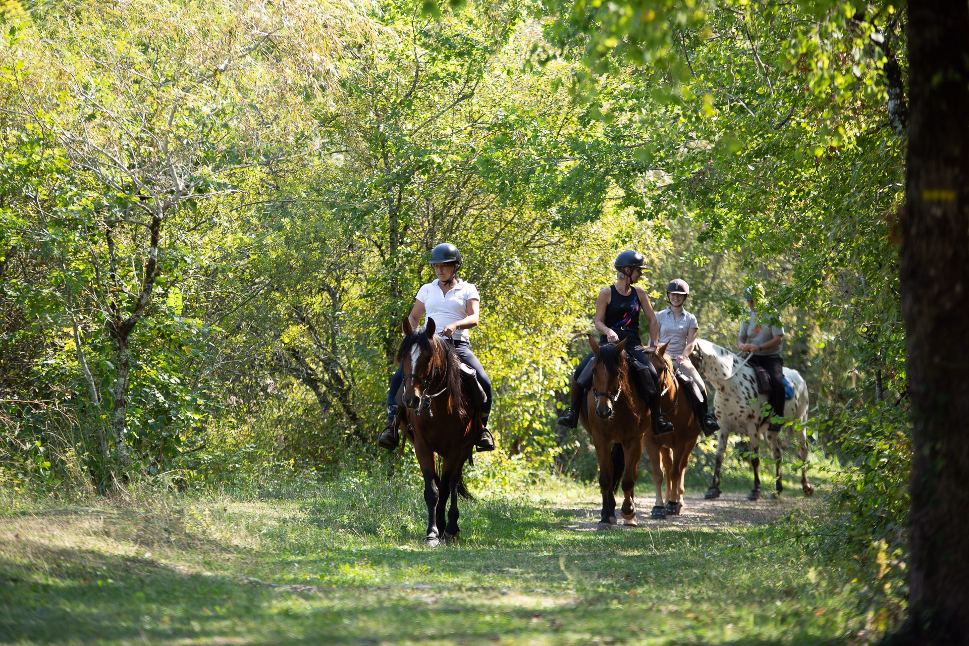 Escapade cheval & détente en vallée du Célé dans le Lot
