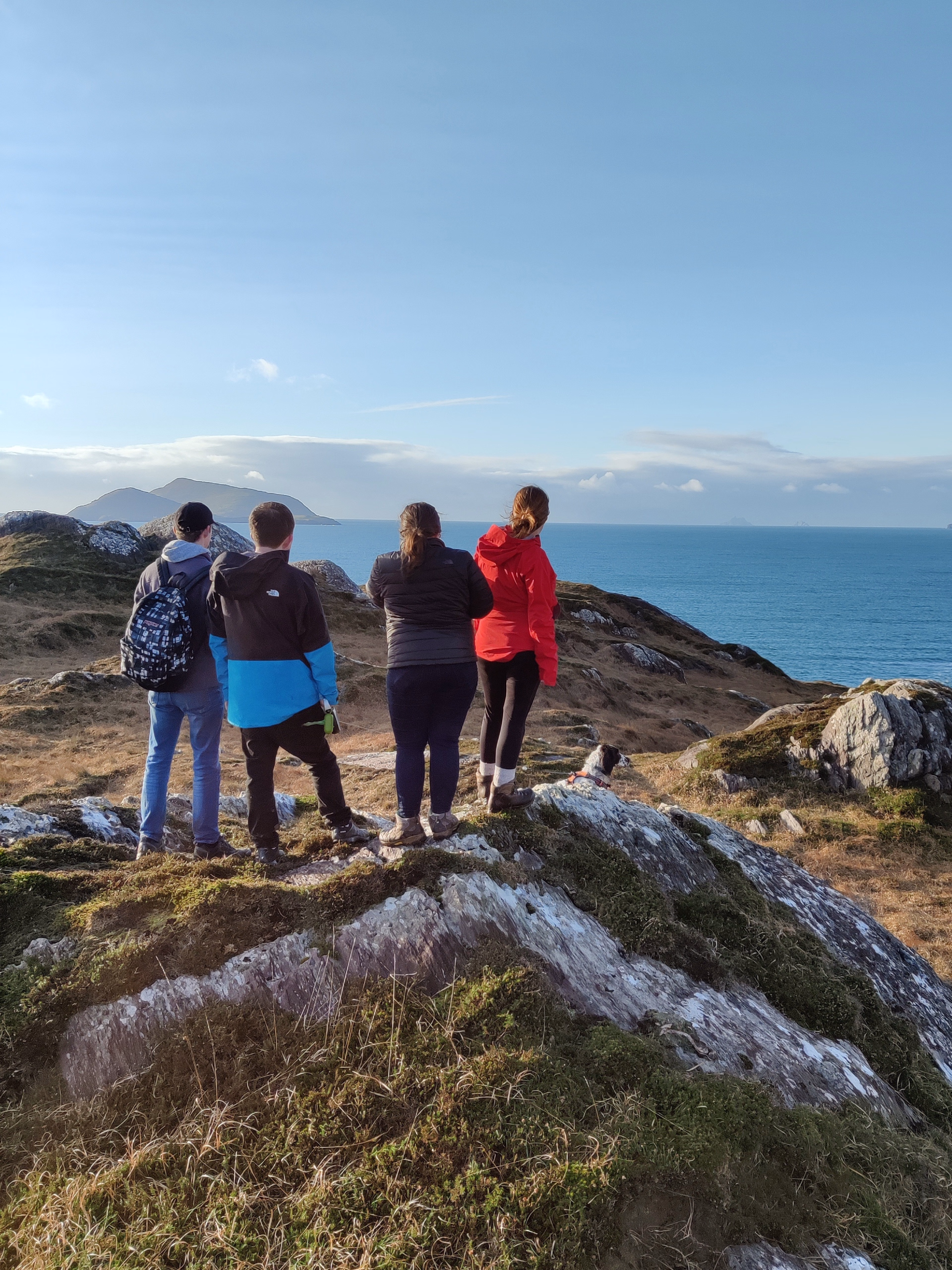 Randonnée côtière guidée sur l'itinéraire sauvage du Ring of Kerry
