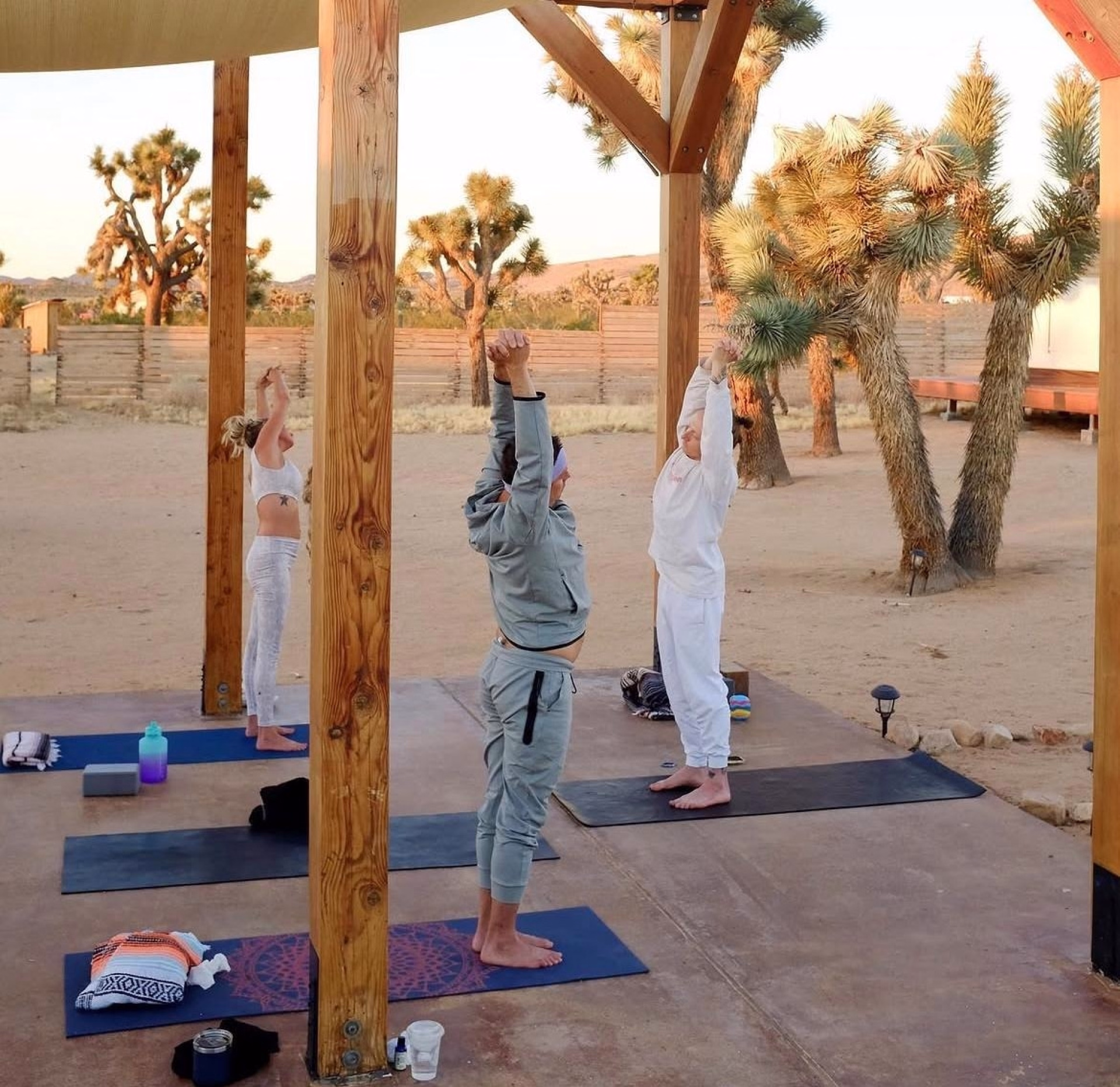 Désert sauvage — 6 jours de yoga & d'aventure à Joshua Tree